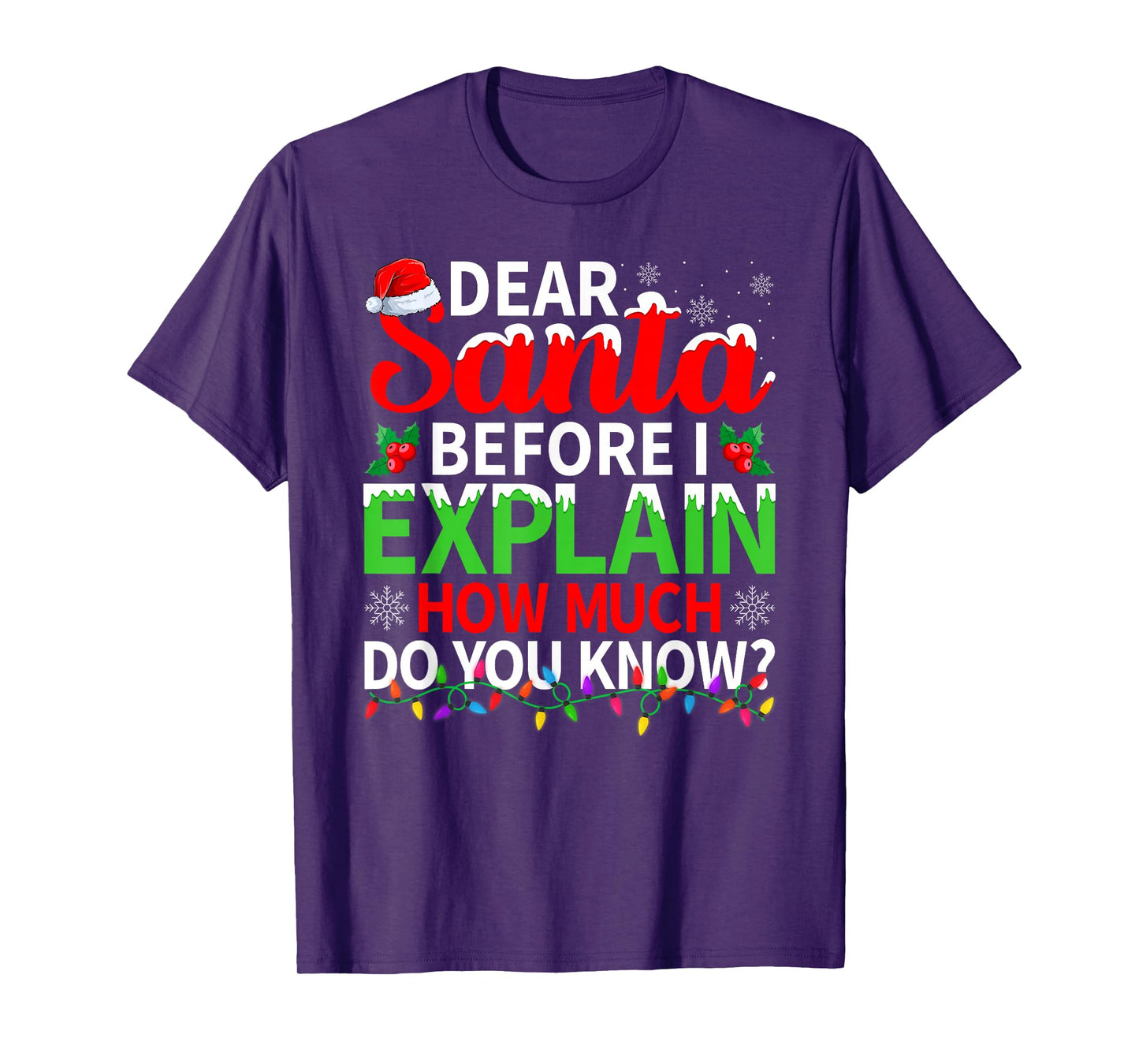 Dear Santa Before I Explain How Much Do You Know Christmas T-Shirt