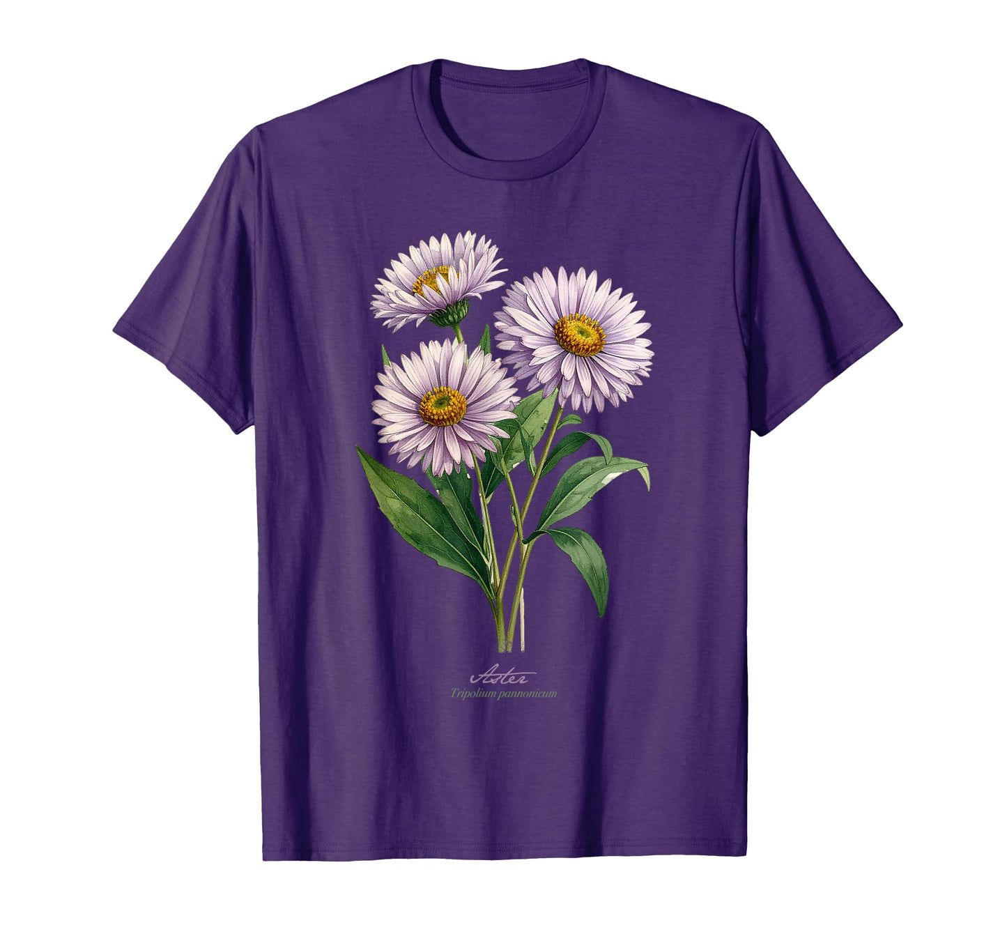 Aster Flower Scientific Name Vintage Illustration Flowers T-Shirt