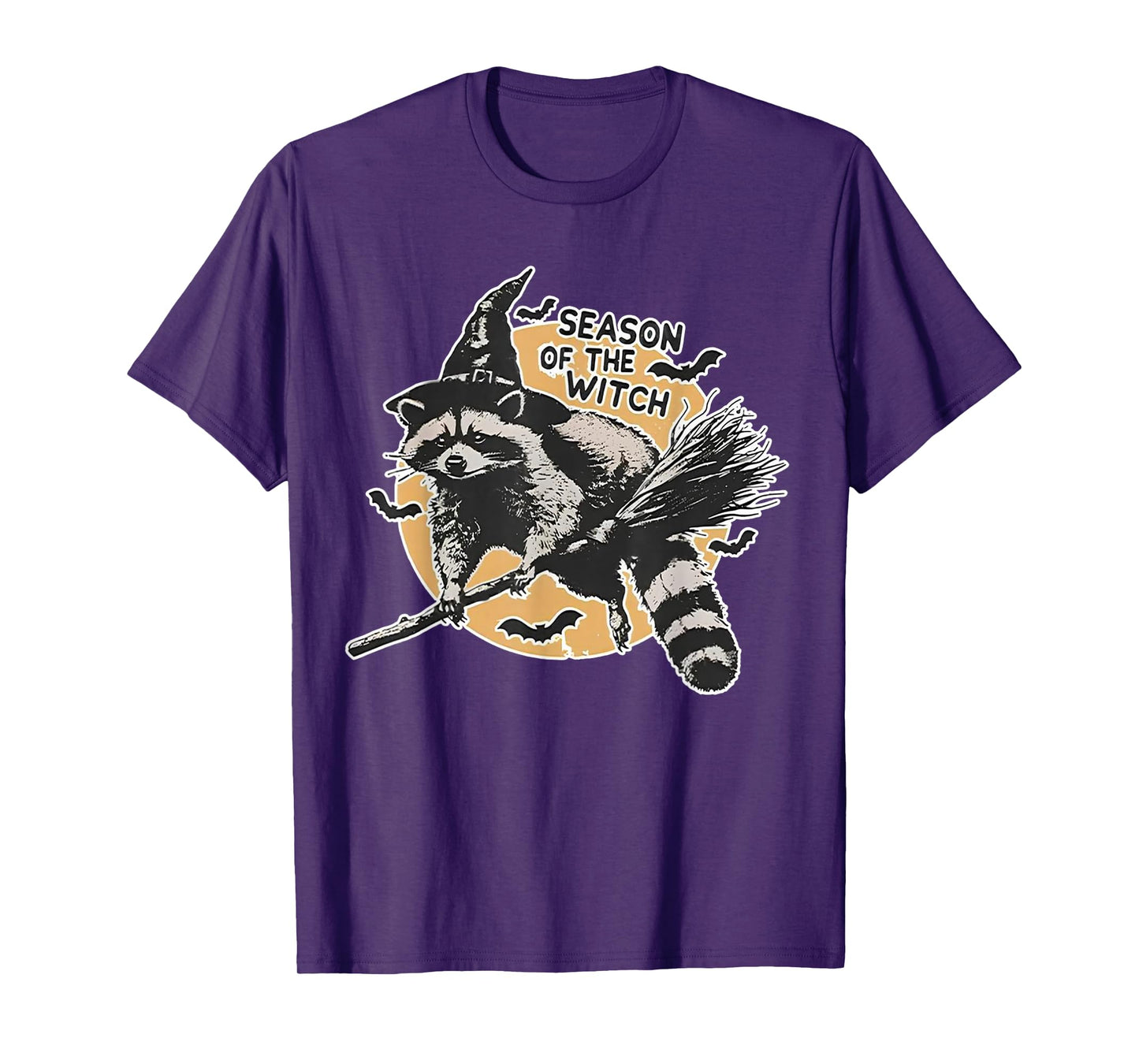 Season of The Witch Raccoon Halloween Funny Retro Halloween T-Shirt