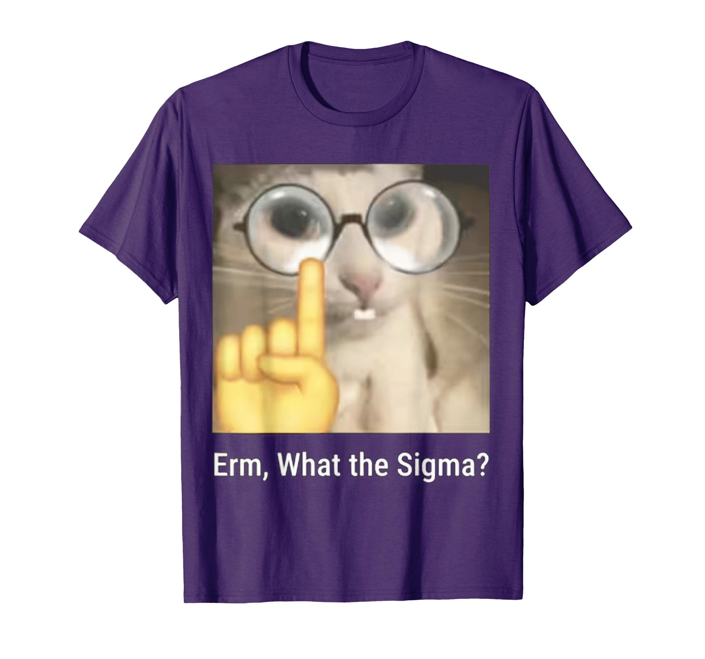 Erm, What the Sigma? Cat Meme Funny T-Shirt