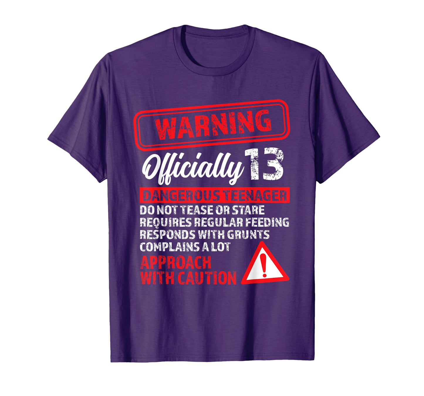 13th Birthday Gifts Warning Dangerous Teenager 13 Yr Old T-Shirt
