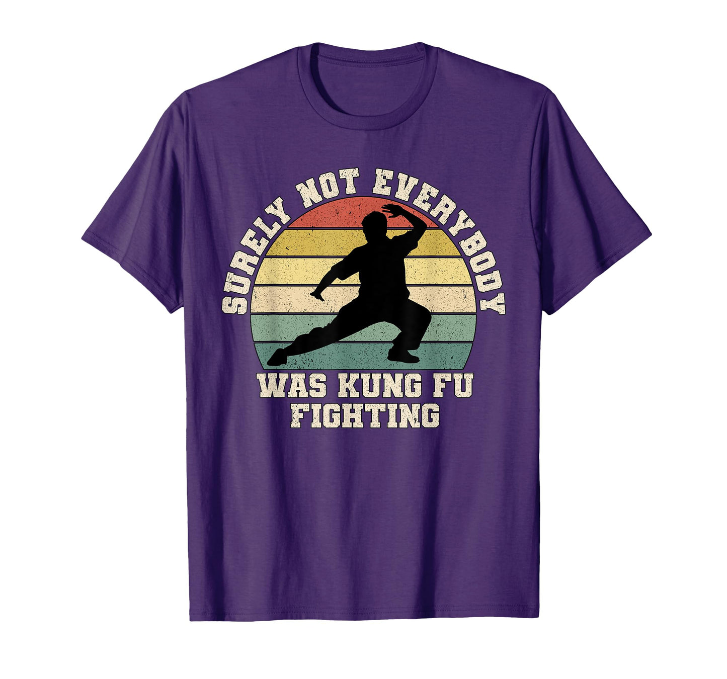 Surely Not Everybody Was Kung Fu Fighting Retro Martial Arts T-Shirt