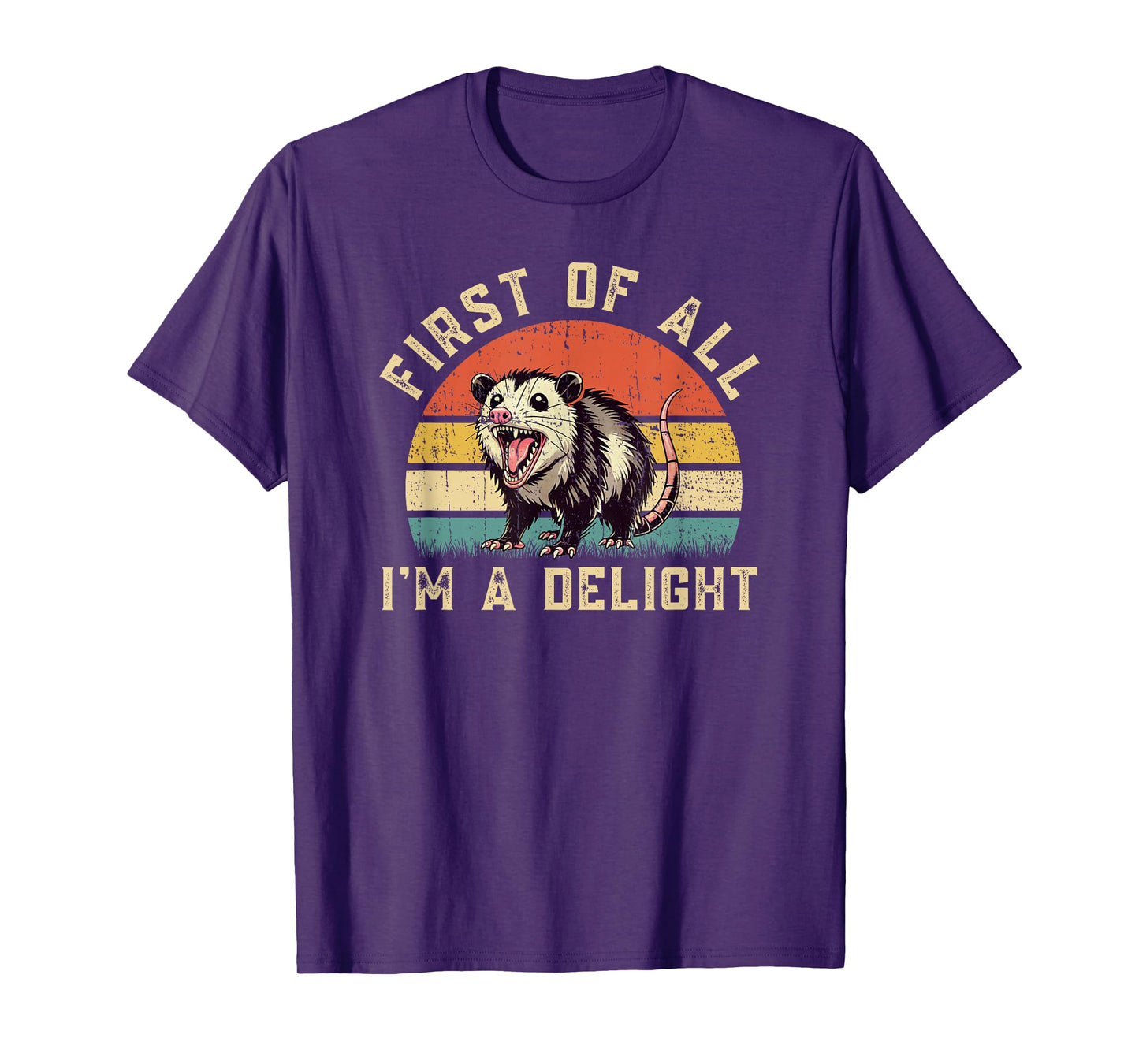 Funny Possum Opossum First Of All I'm A Delight T-Shirt