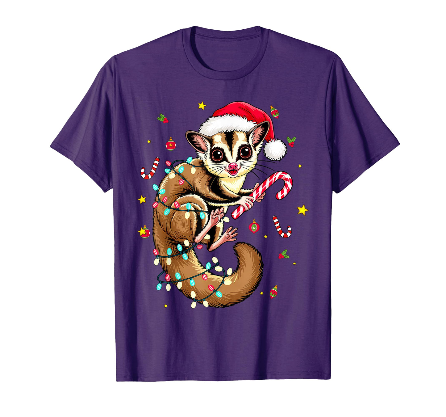 Christmas Sugar Glider Santa Hat Squirrel Gliding Animal T-Shirt