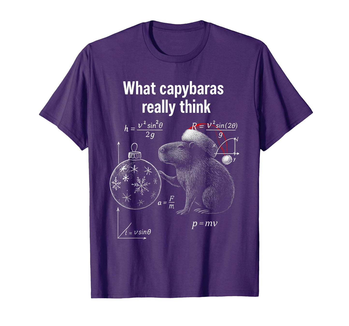 Funny Capybara Physics Science Humor Santa Hat Christmas T-Shirt