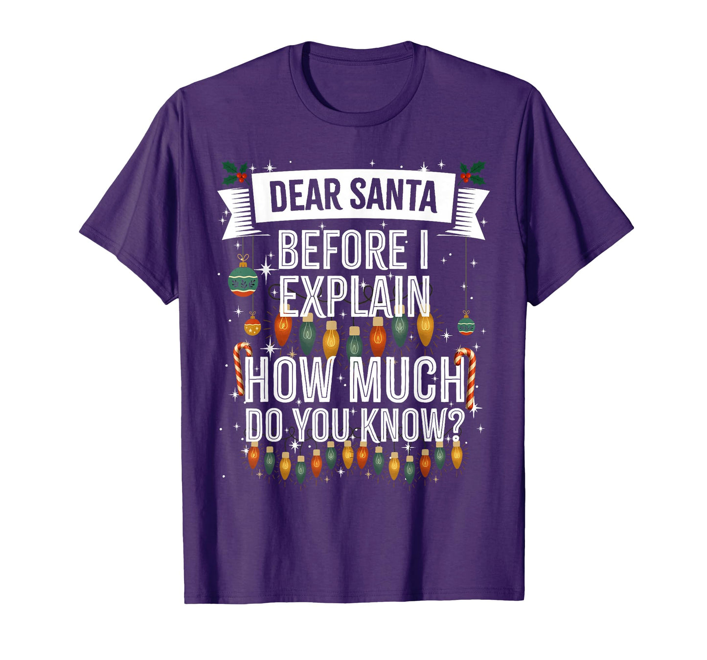 Dear Santa, I can Explain, Funny Naughty Adult Christmas T-Shirt