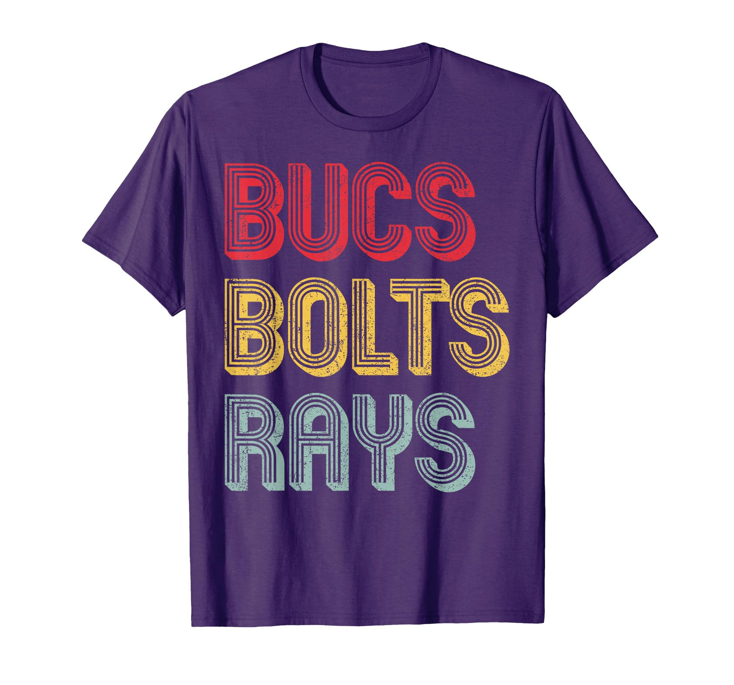 Retro Vintage Bucs Bolts Rays T-Shirt