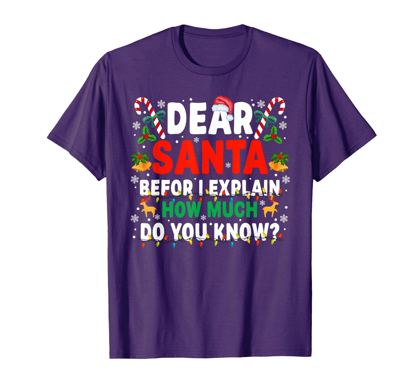 Dear Santa Before I Explain How Much Do You Know Xmas T-Shirt