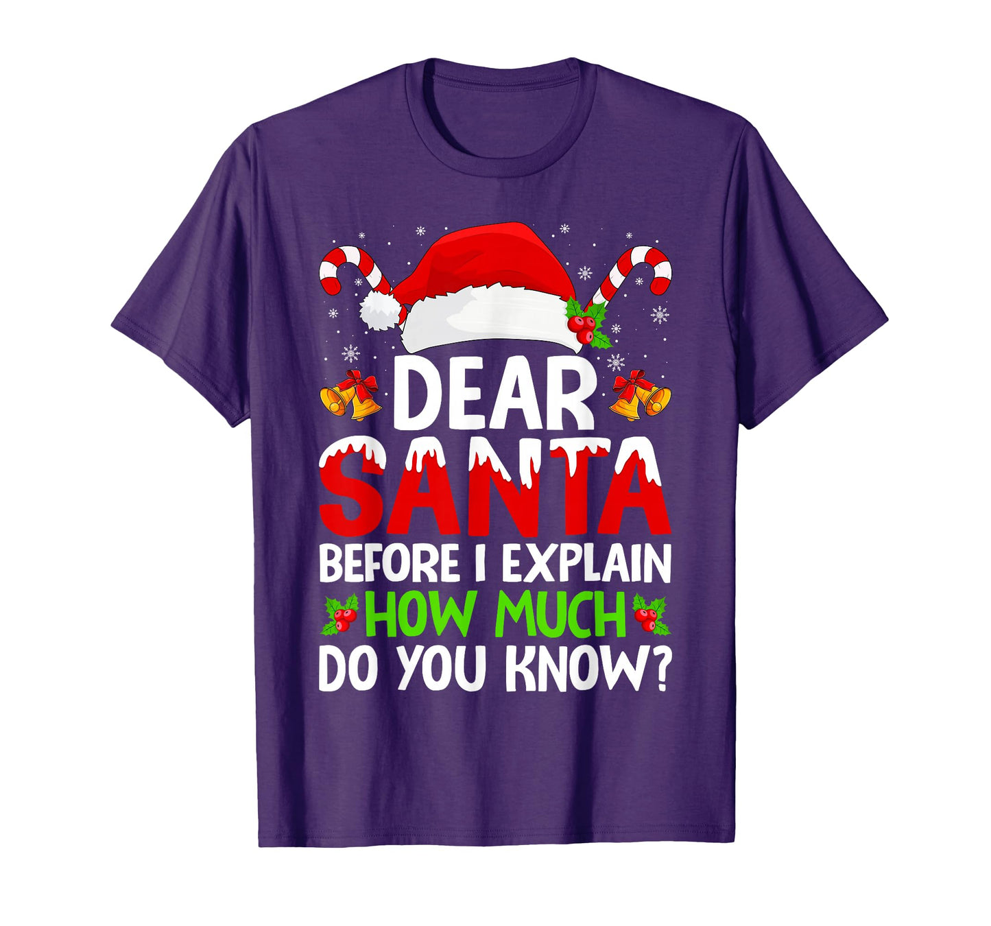 Christmas Dear Santa Before I Explain How Much Do You Know T-Shirt