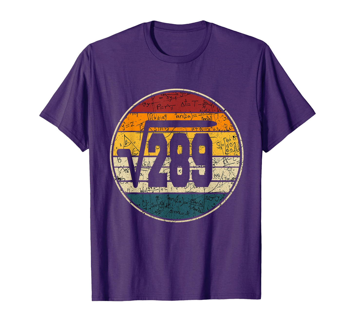 square root of 289 17th years old birthday vintage 17th T-Shirt