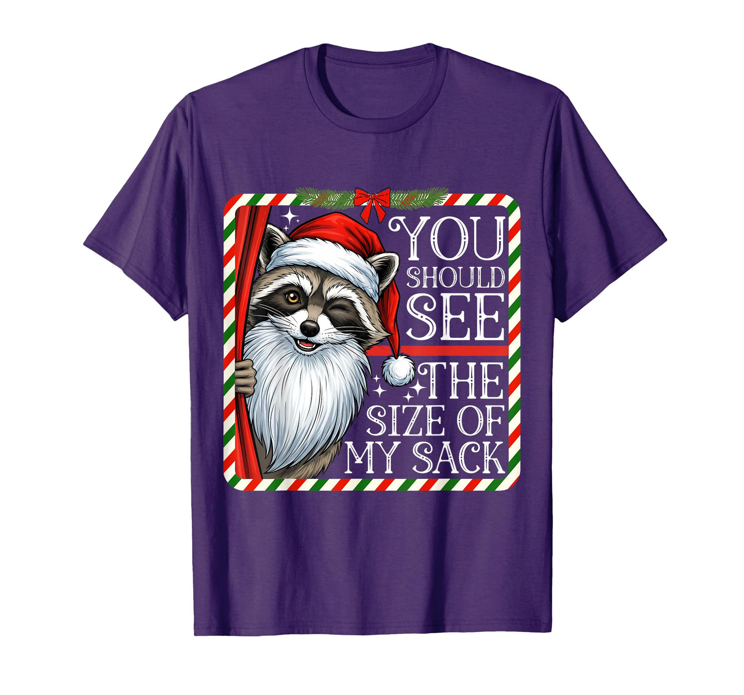 You Should See The Size of My Sack Funny Santa Christmas T-Shirt