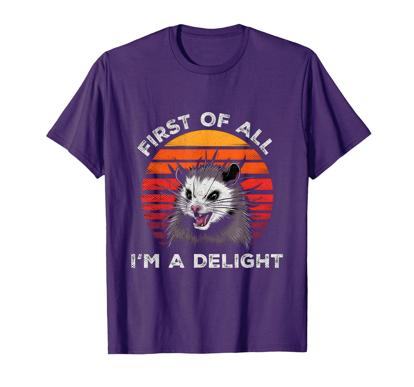 Sarcastic Pun Opossum Men Women First Of All Im A Delight T-Shirt