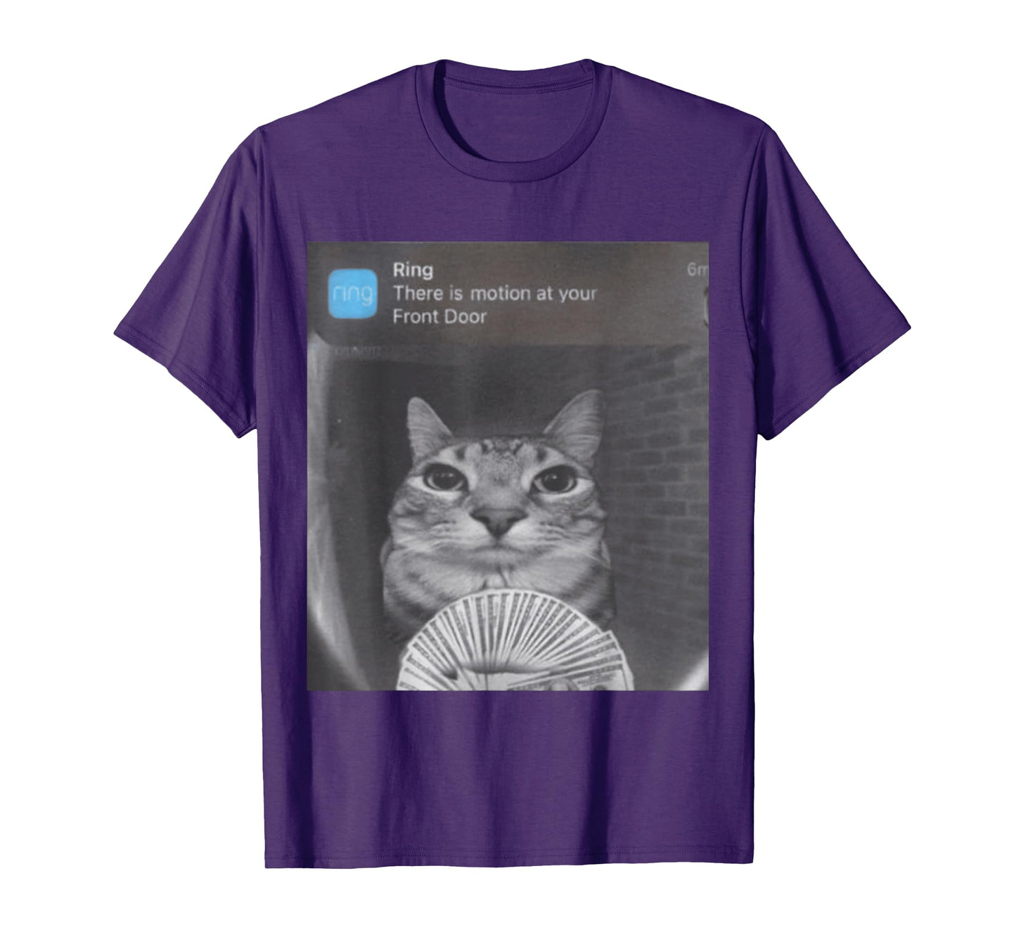 Ring There Is Motion at Your Front Door T-Shirt