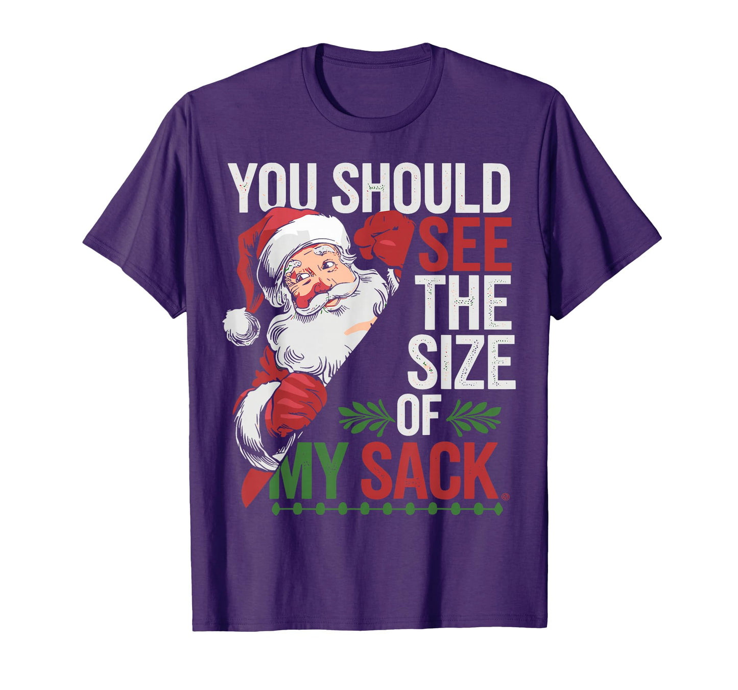 You Should See The Size of My Sack Funny Santa Christmas T-Shirt
