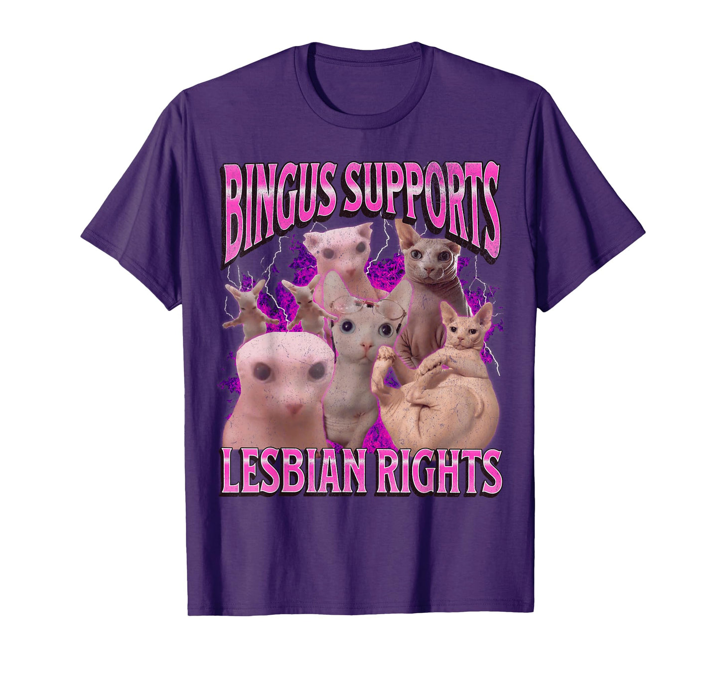 Bingus Supports Lesbian Rights Funny Cat Meme Bootleg T-Shirt