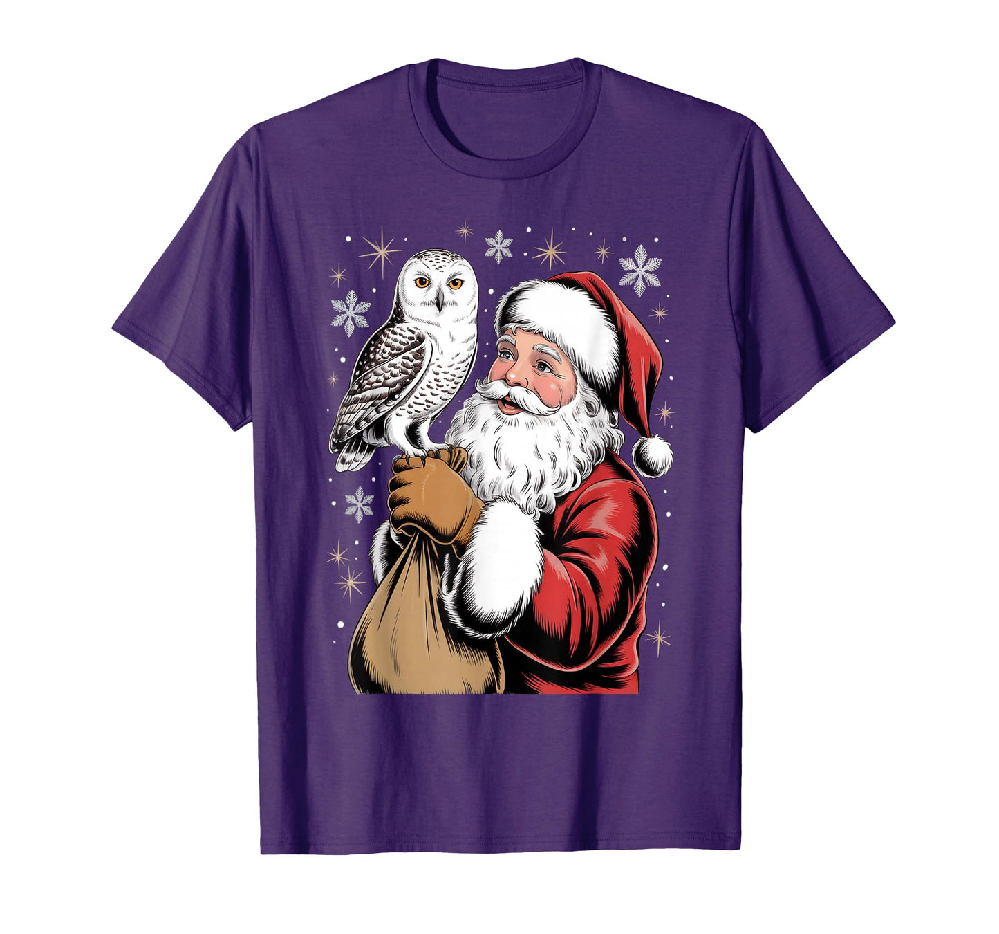 Cute Owl Santa Christmas Holiday Cartoon Funny Santa Owl Kid T-Shirt