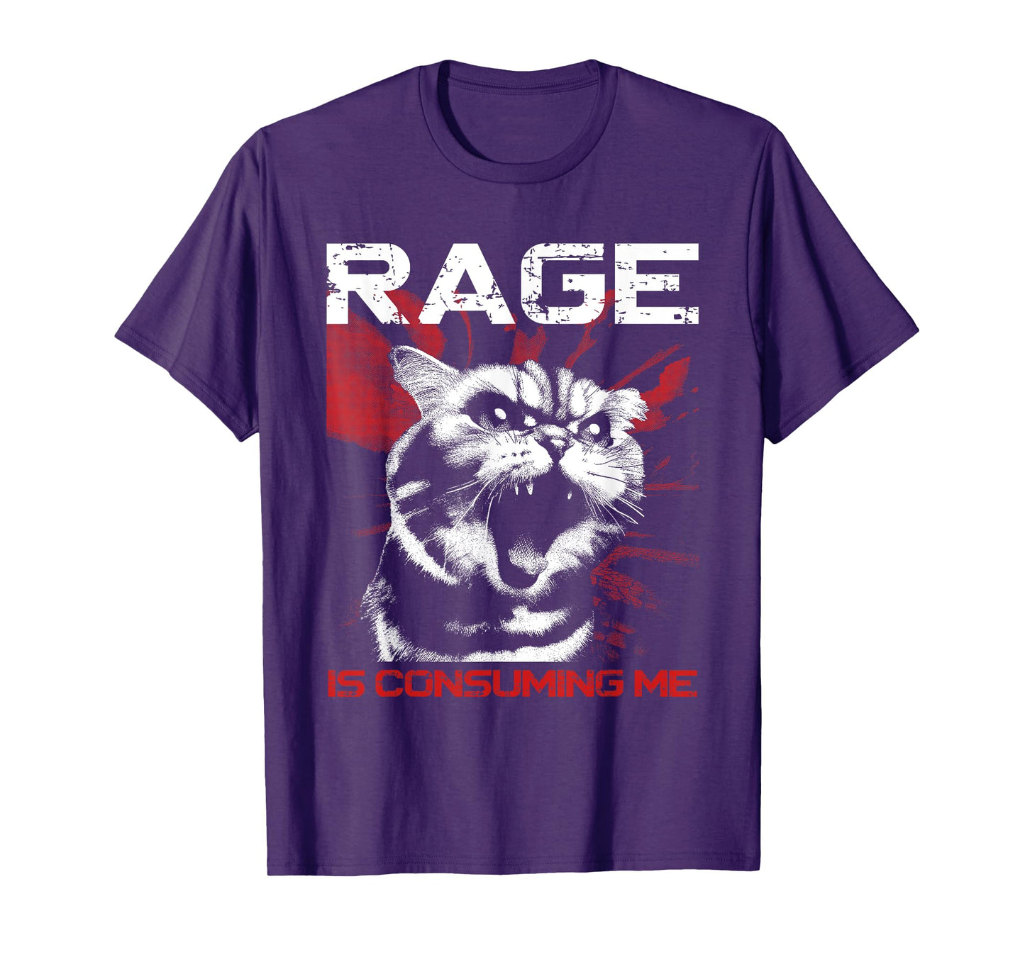 Rage Is Consuming Me - Funny Meme Cat Lover T-Shirt for Men Women Kids