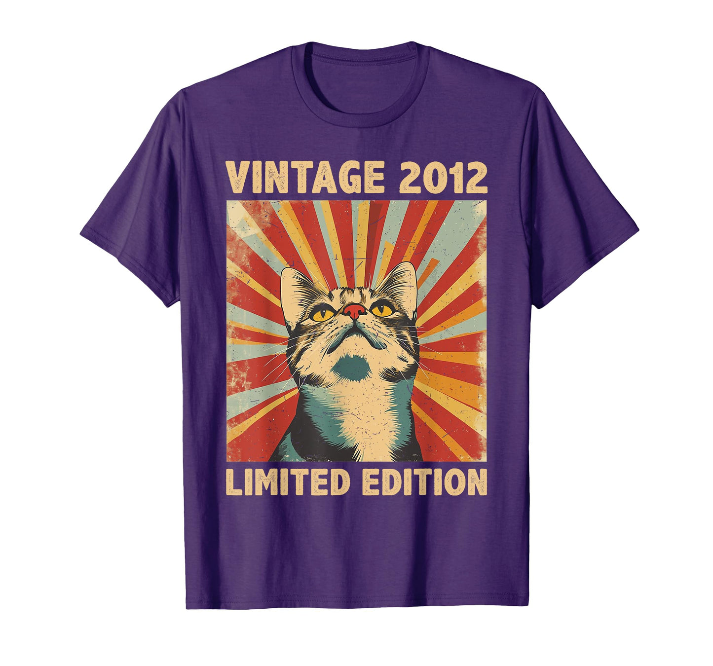 13 Years Old Gift Vintage 2012 Cat Lover 13th Birthday T-Shirt for Men Women Kids