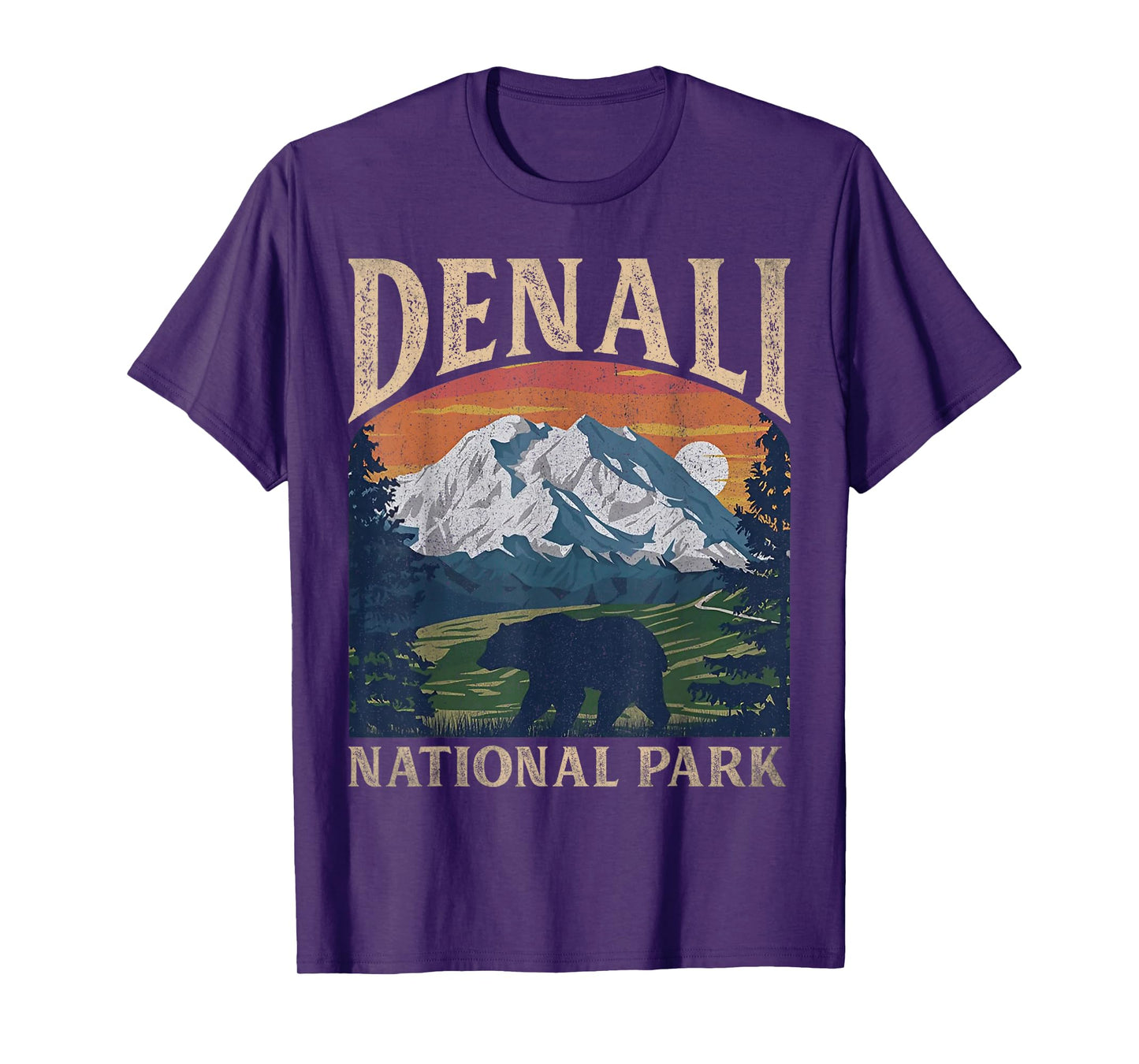 Vintage Denali National Park Retro Mount For Men Women T-Shirt