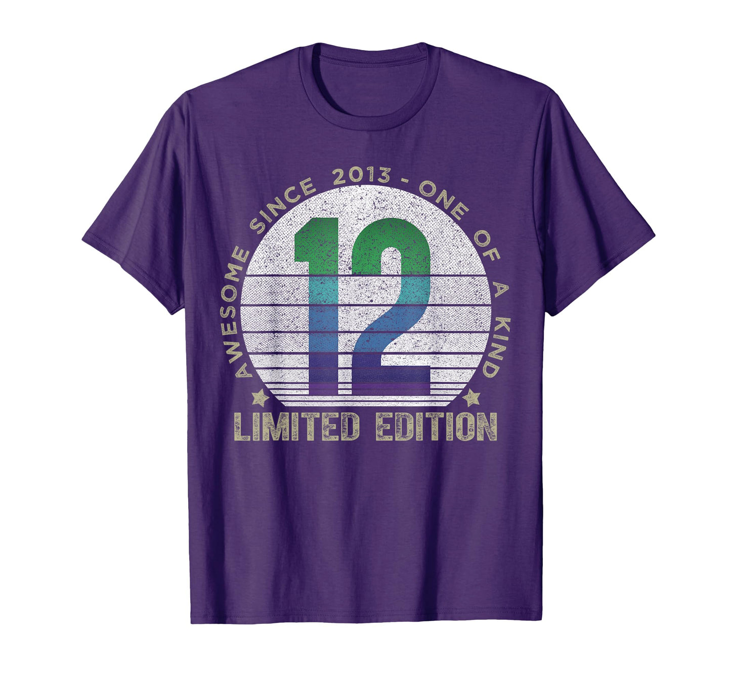 12 Year Old Gifts Vintage 2013 Limited Edition 12th Birthday T-Shirt