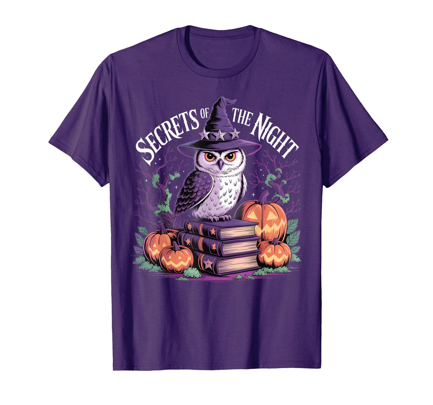 Secrets of The Night Witch Owl Pumpkin Halloween Gothic T-Shirt