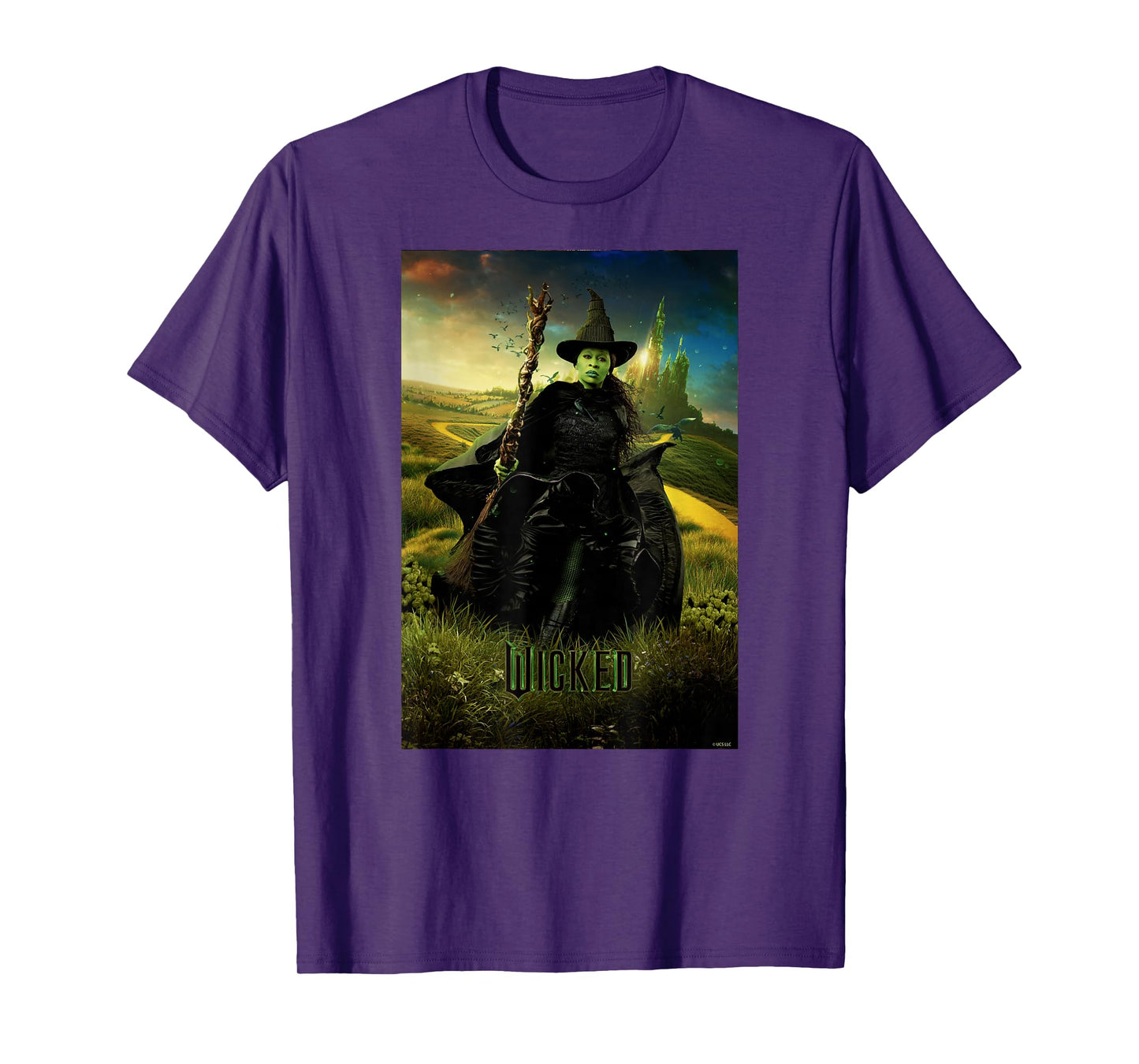 Wicked Unisex-Adults & Kids T-Shirt, Black, Small, Short Sleeve, Classic Fit, Iconic Hero Design, Licensed Movie Theme