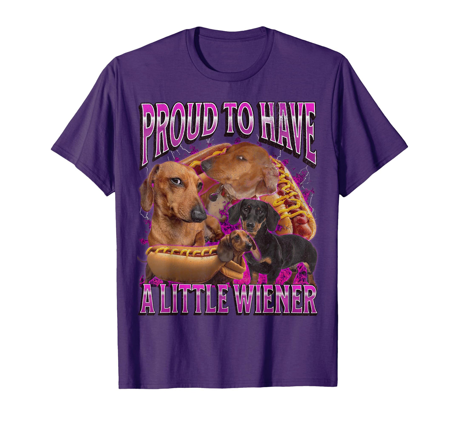 Proud To Have A Little Wiener Funny Offensive Dachshund T-Shirt