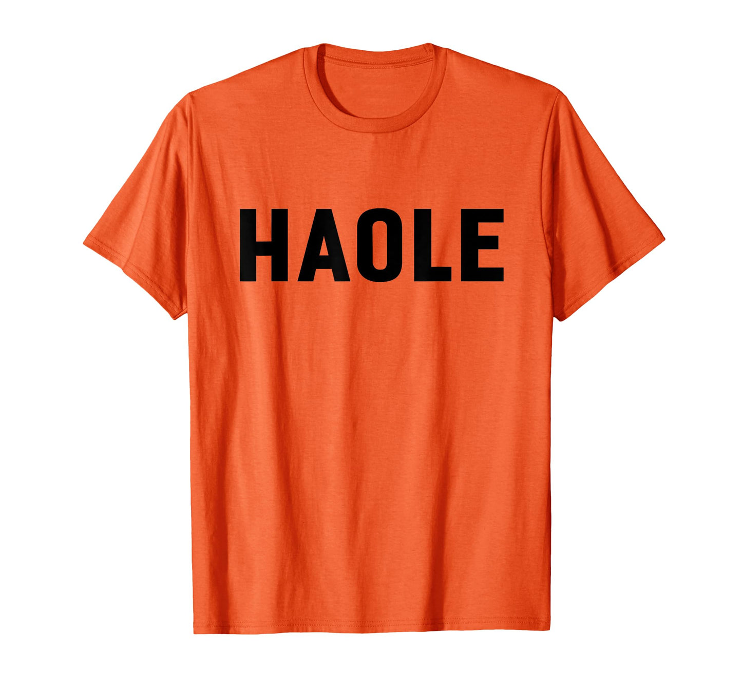 Haole Funny Hawaii Tourist Gift, Local Hawaiian Pidgin Slang T-Shirt