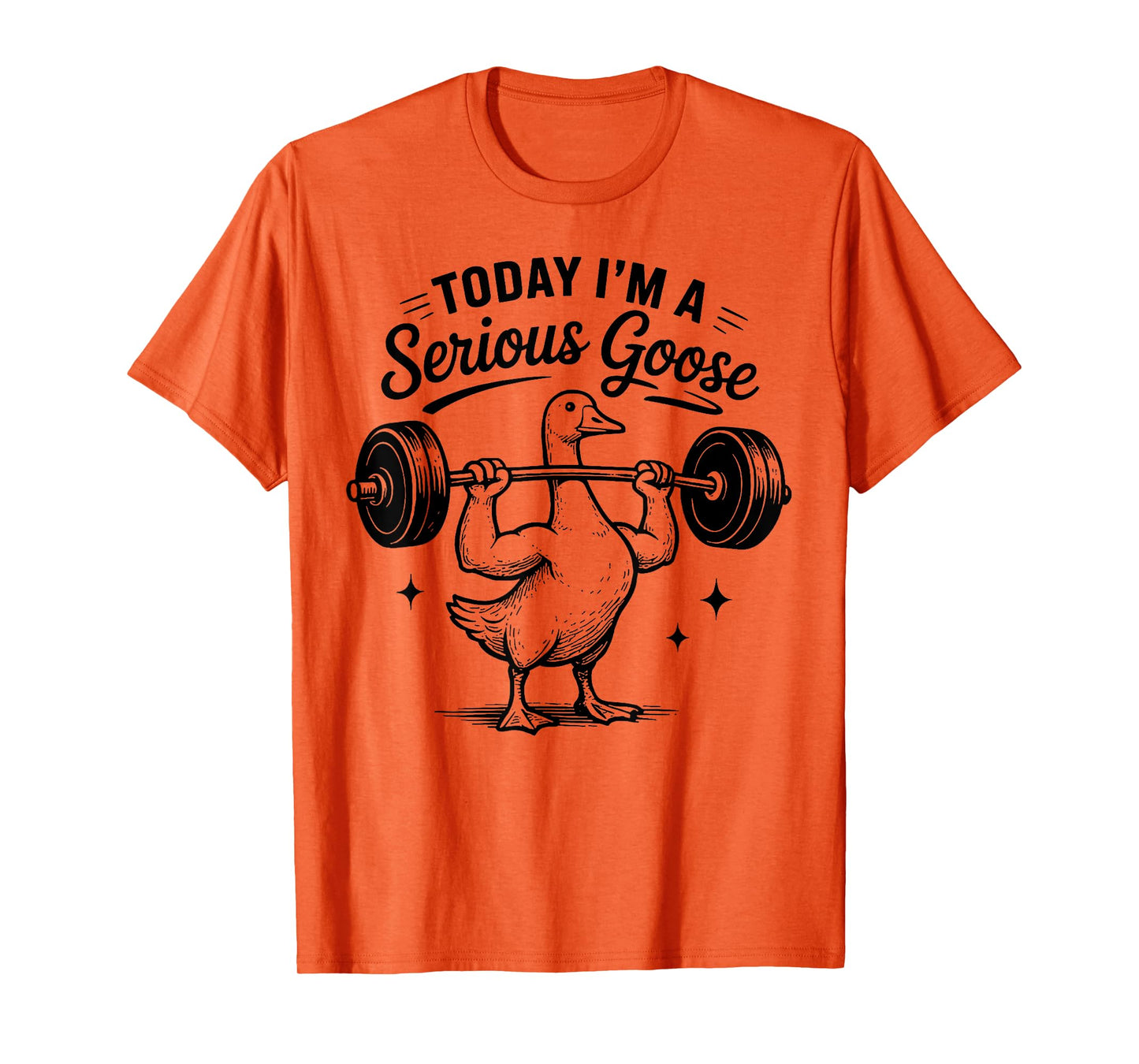 Today i'm a serious goose funny lifting weights gym fitness T-Shirt