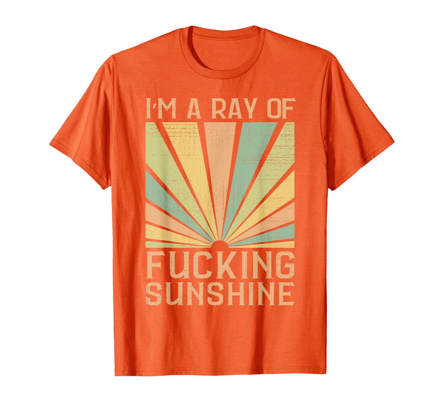 I’m A Ray of F-ing Sunshine Sarcastic Humor Summer Vacation T-Shirt