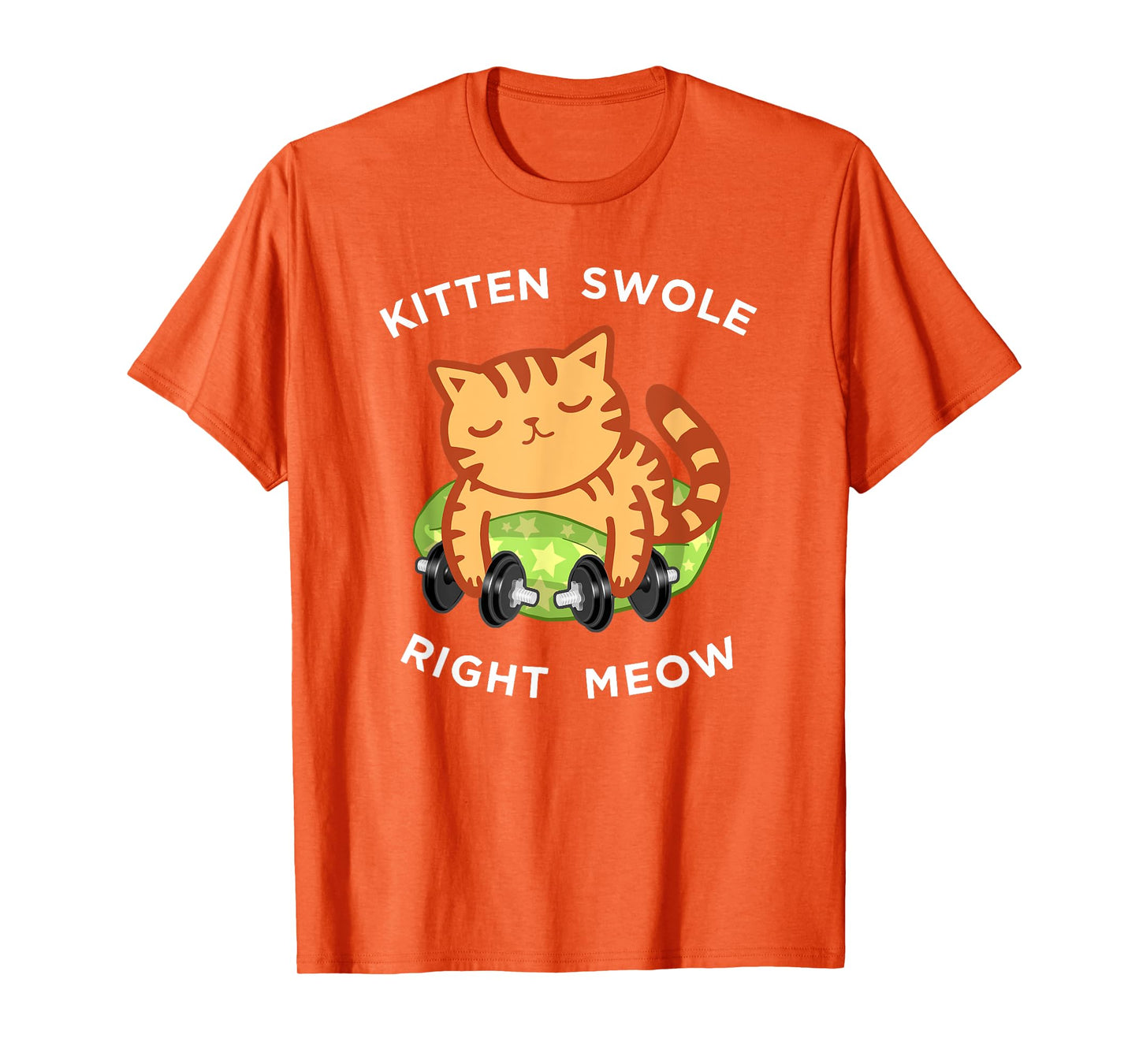 Funny Lifting Right Meow Cat Shirt, Workout Gym Kitty Tee T-Shirt