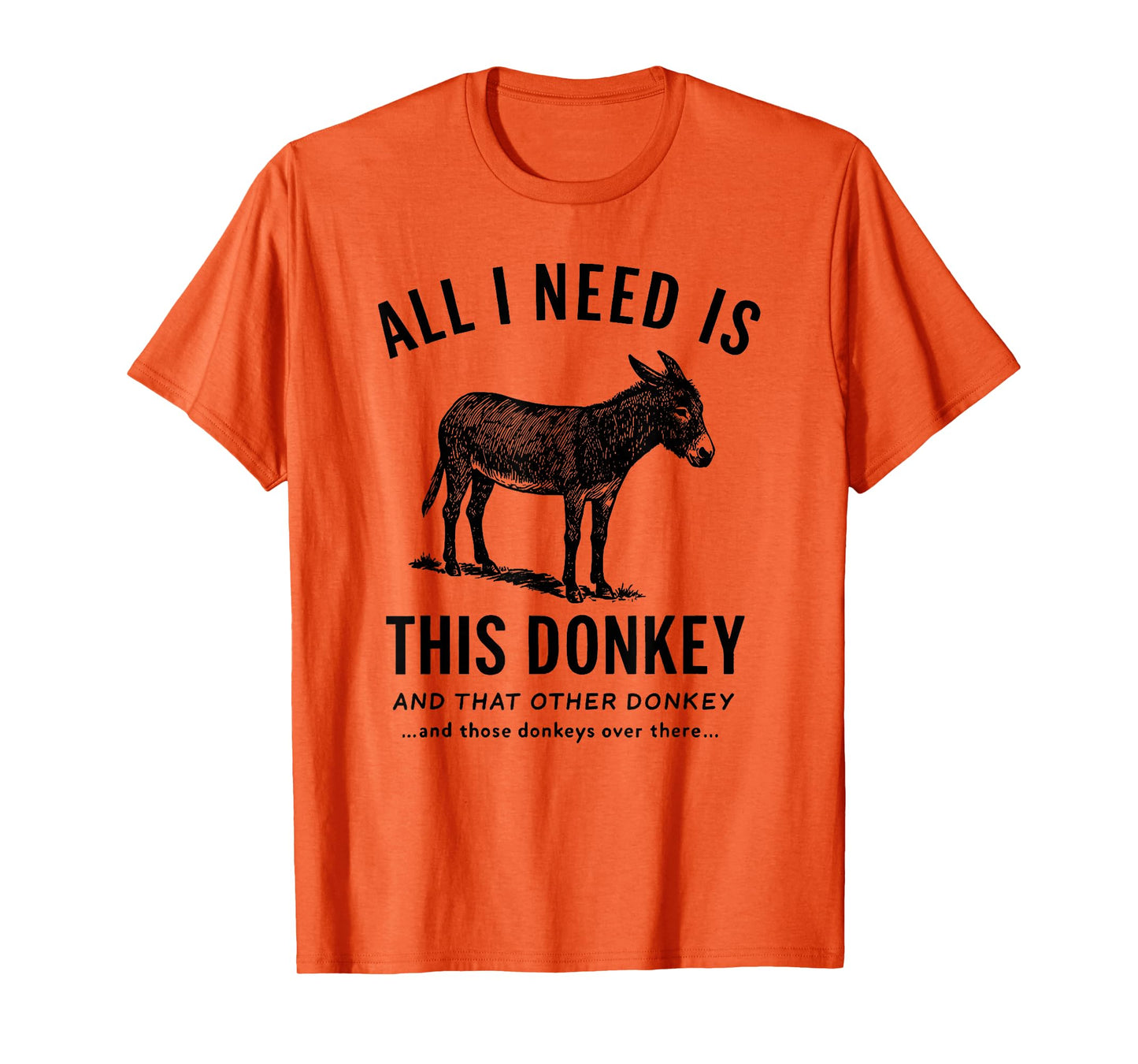 All I Need Is This Donkey Funny Vintage Animal T-Shirt