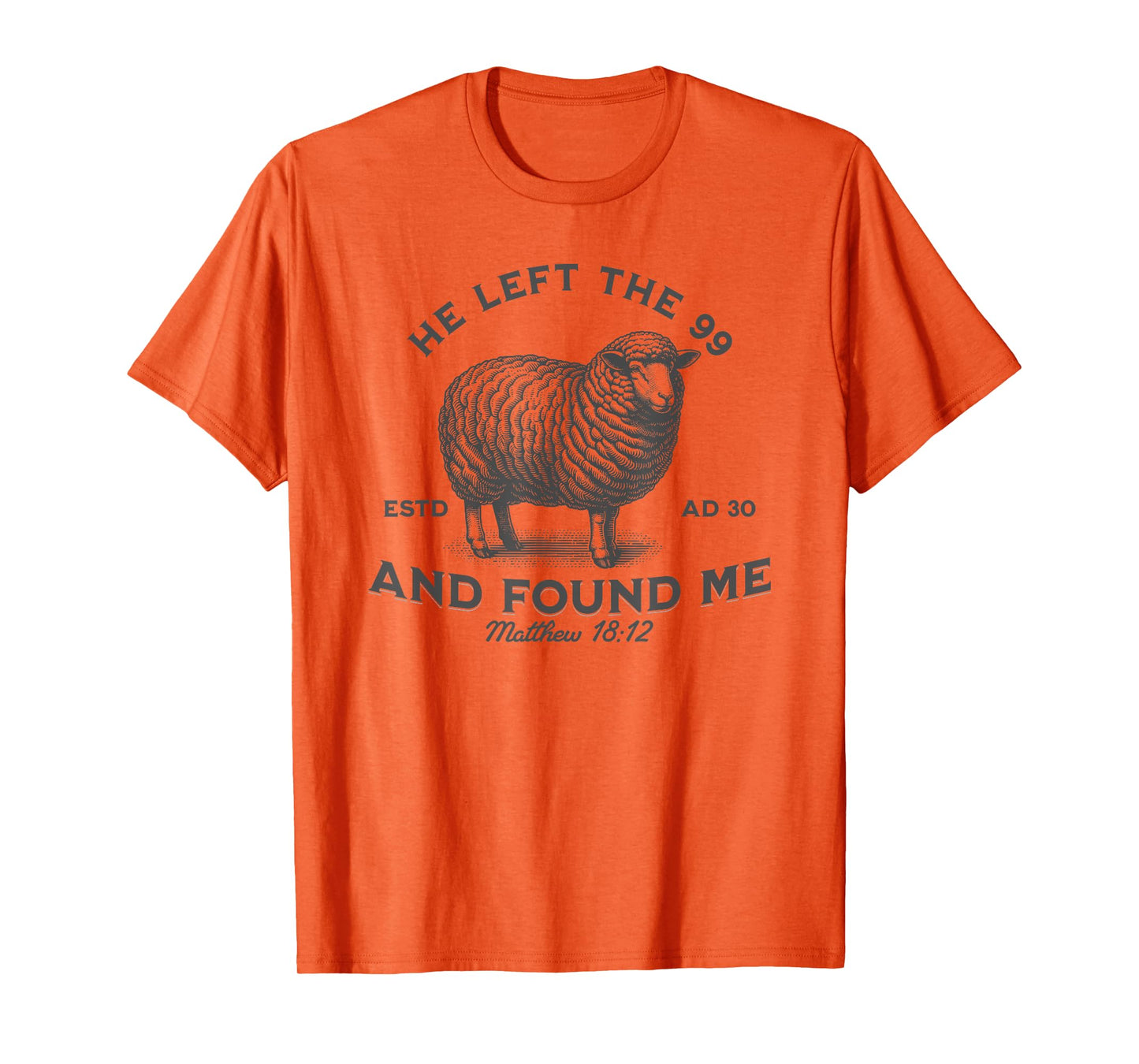 Bible He Left The 99 To Find Me Christian T-Shirt