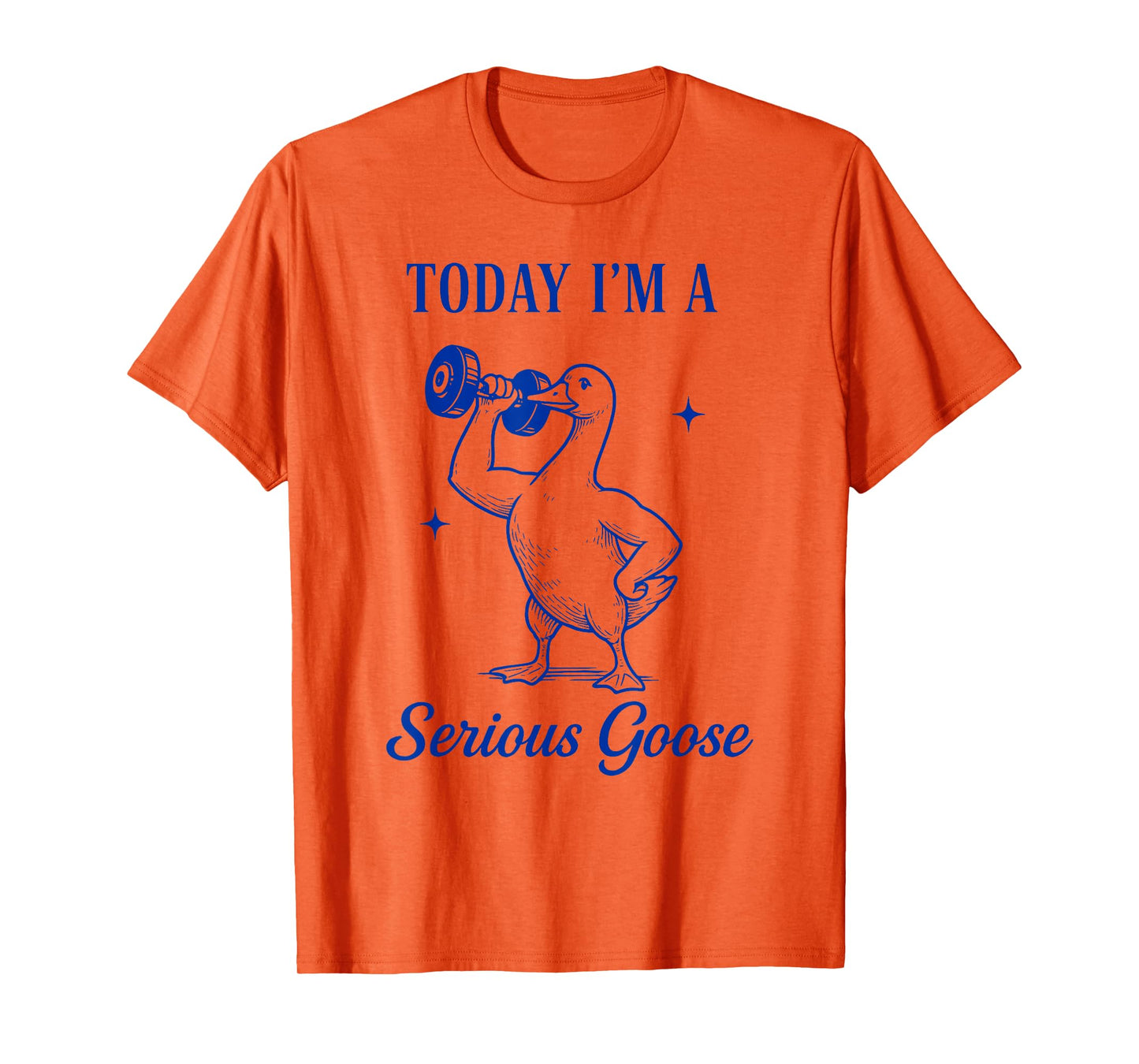today i'm a serious goose funny dumbbell gym fitnes T-Shirt