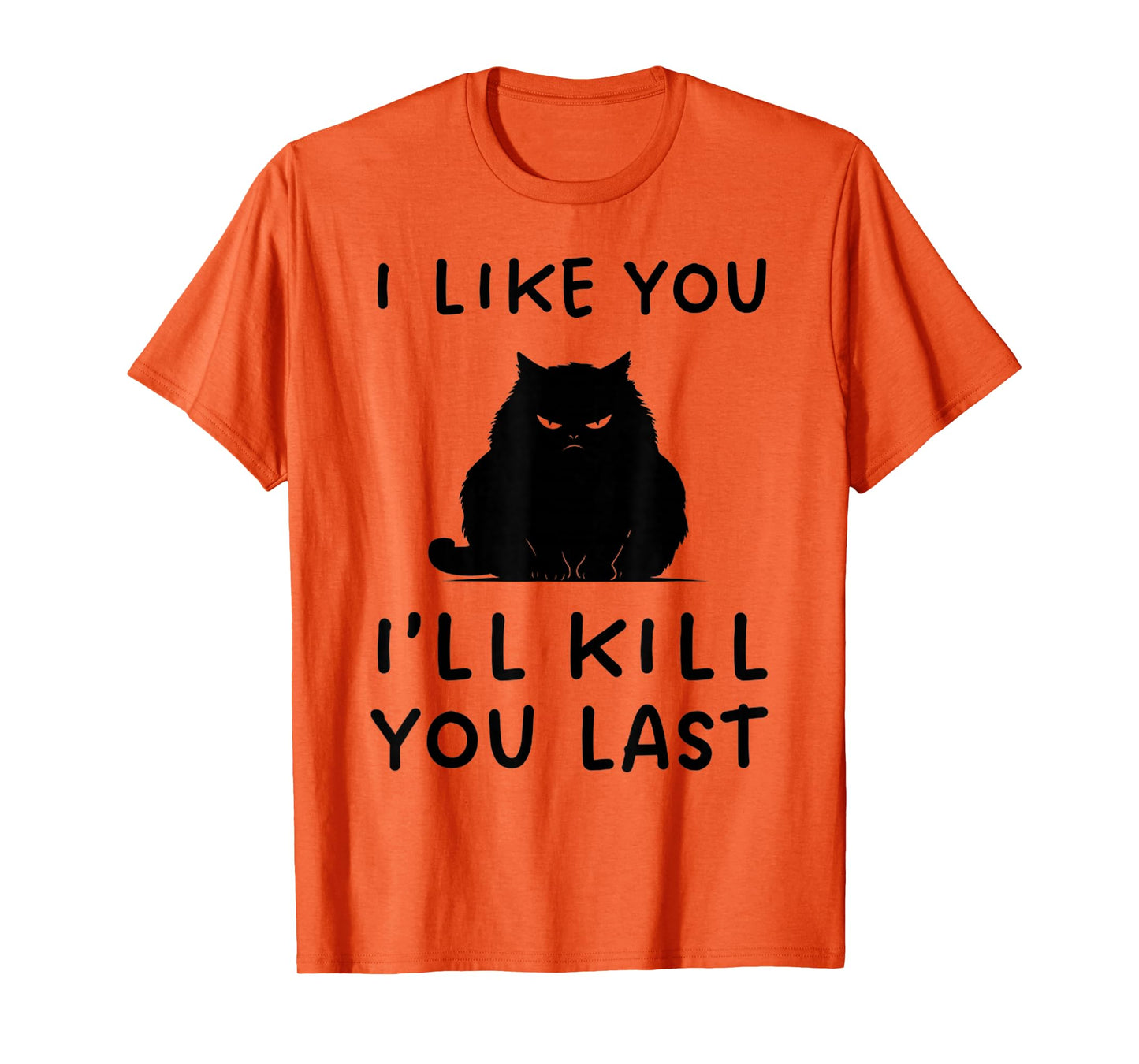 Funny I Like You I’ll Kill You Last Black Cat Cute Cat Tee T-Shirt
