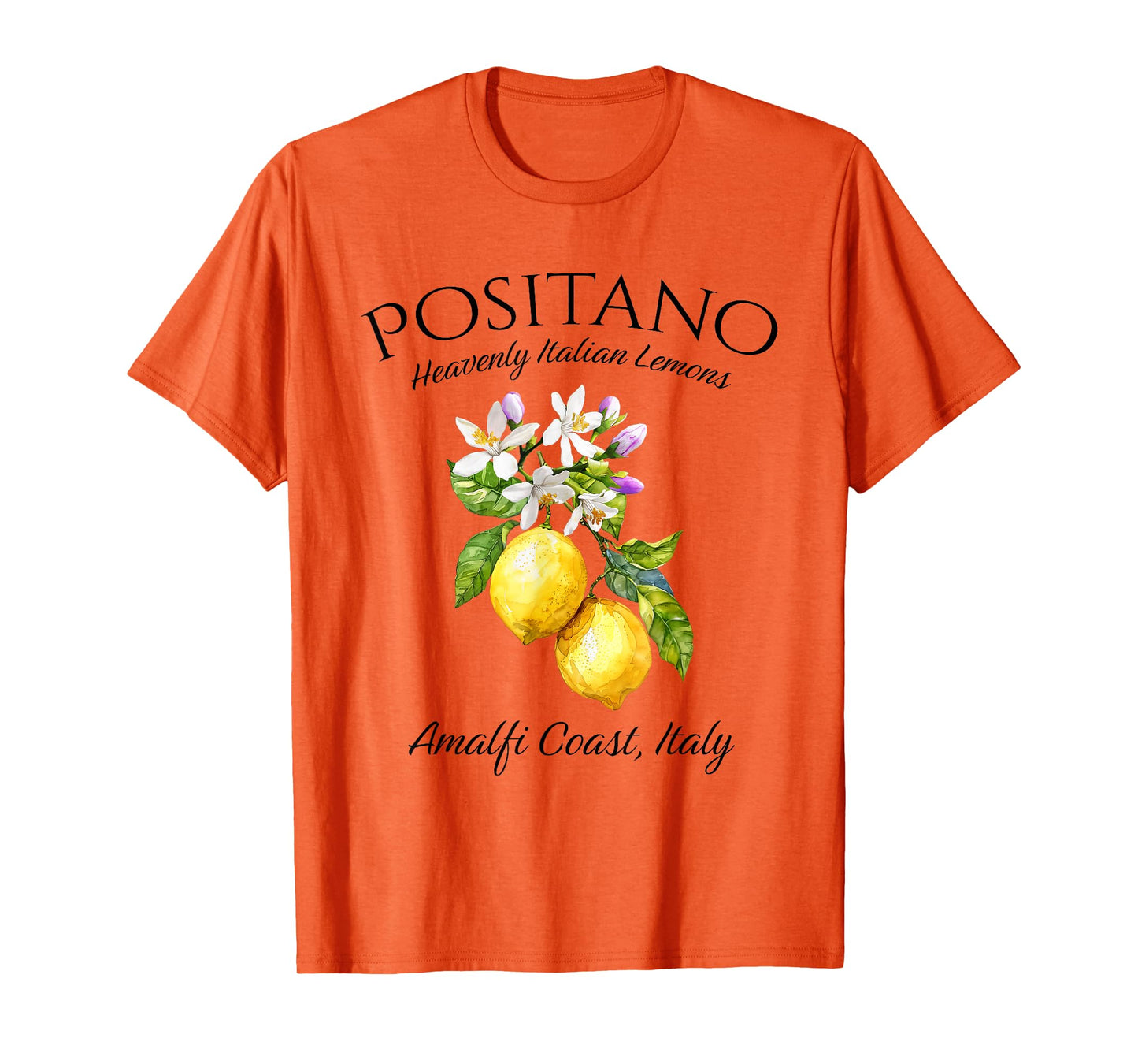 Positano Amalia Coast Italian Lemons Italy T-Shirt