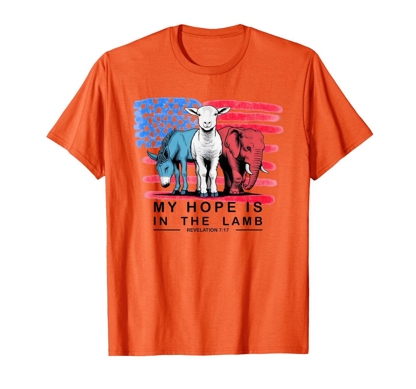Vintage My Hope Is In The Lamb Christian God Jesus USA Flag T-Shirt
