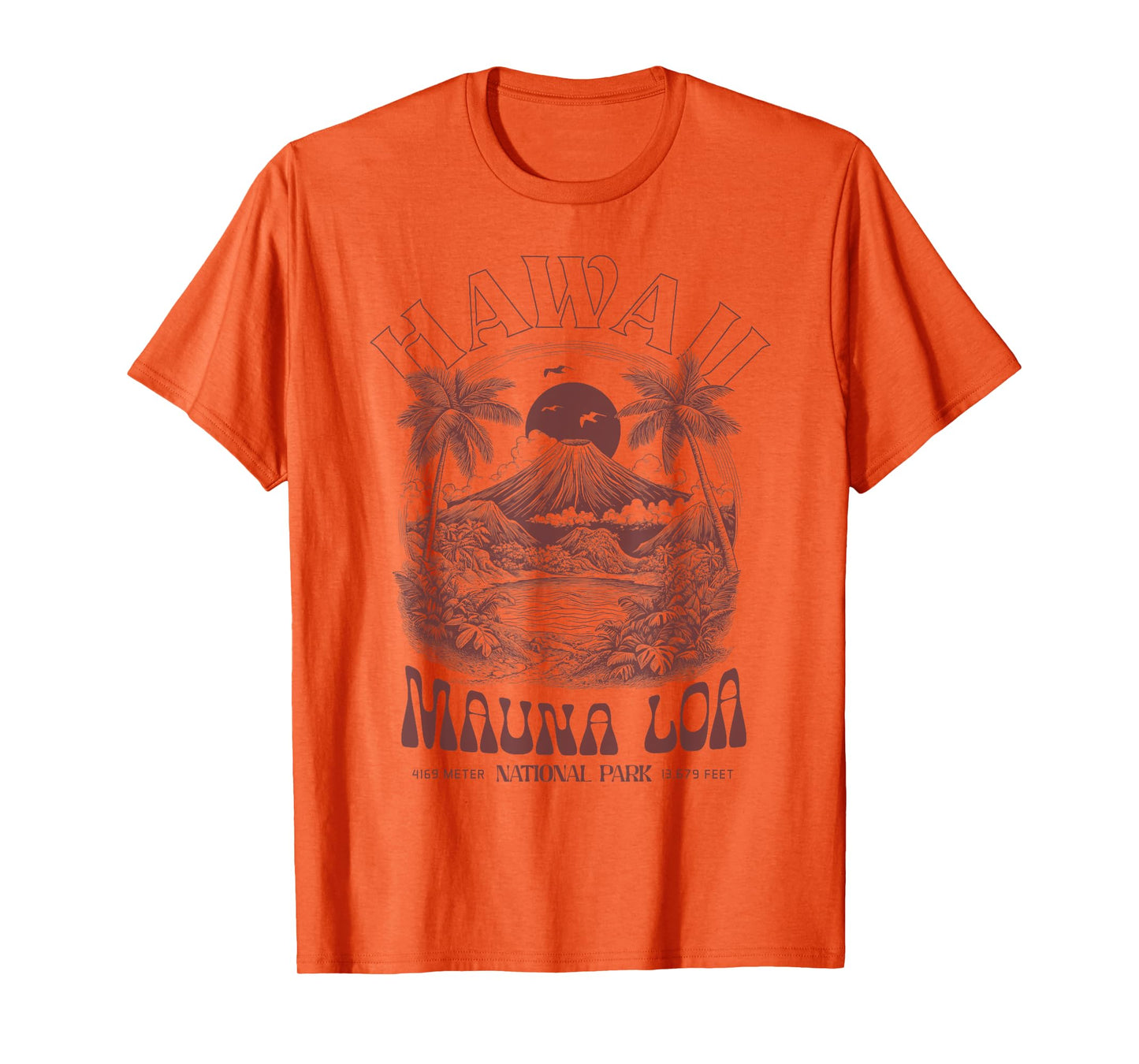 Hawaii Volcano Vintage Outdoor Mountain Hiking T-Shirt