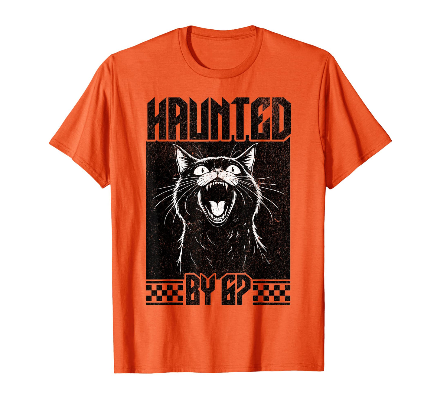 Haunted by 67 Angry Cat Black Meme Halloween Costume Spooky T-Shirt