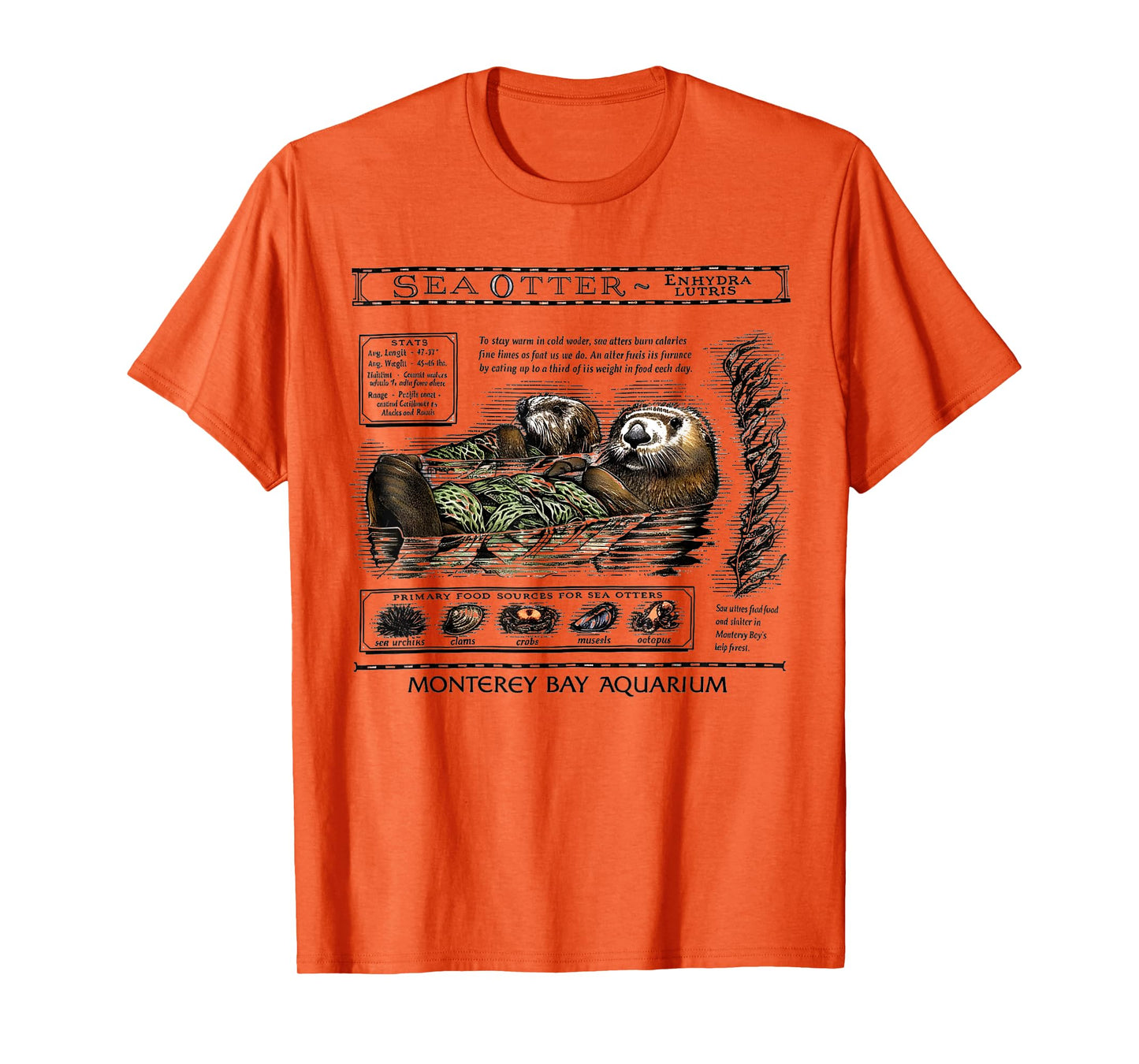 Aquarium Lover Retro 90's Style Vintage Fashion for Women T-Shirt