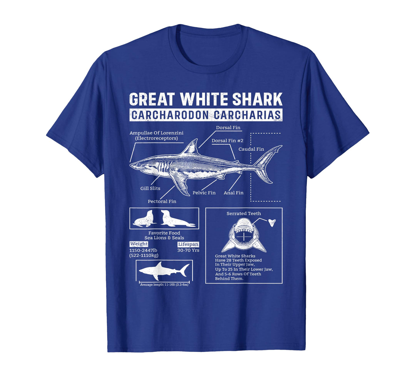 Vintage Great White Shark Anatomy Lover Marine Biologist T-Shirt
