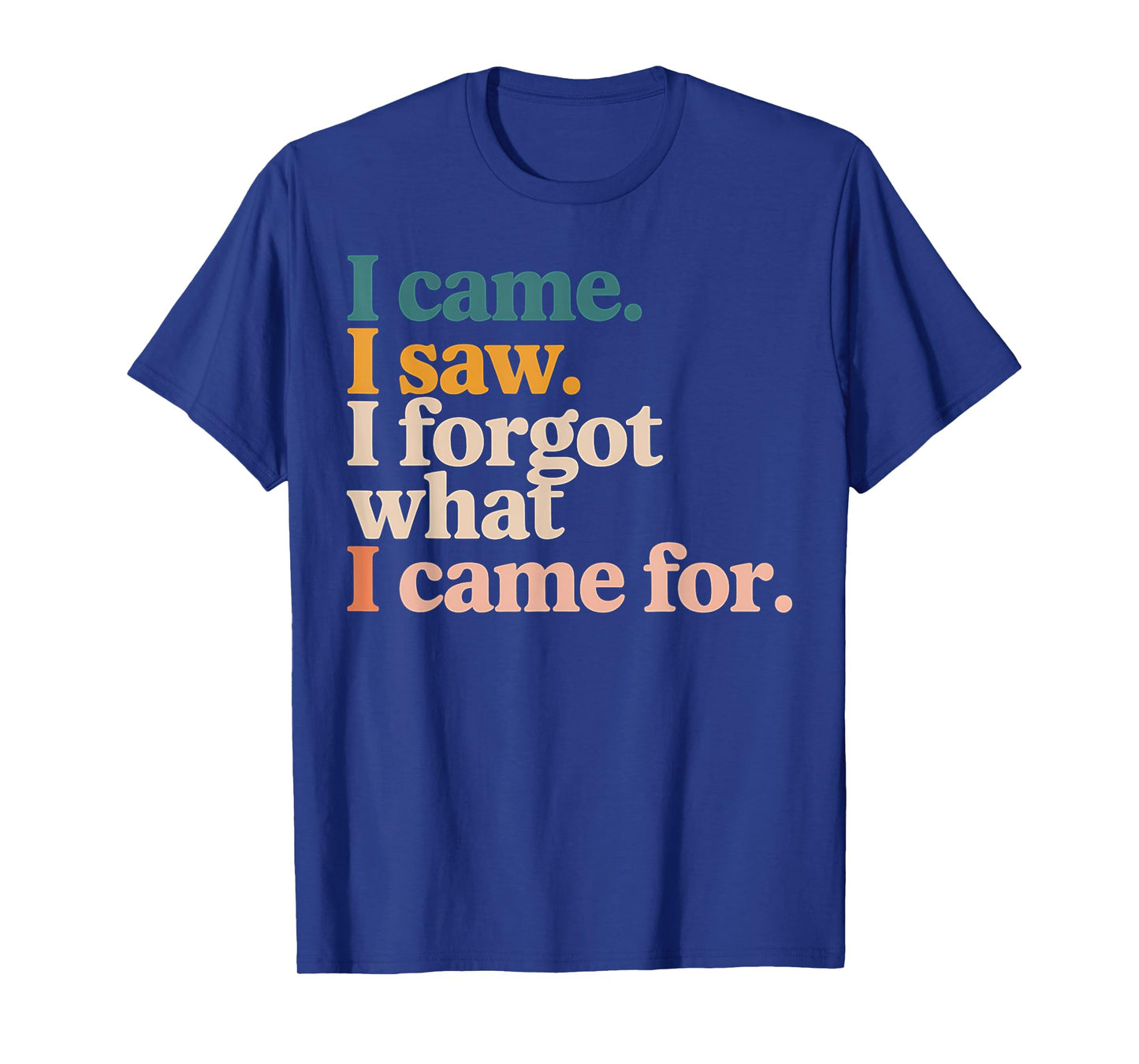 Funny Graphic Tee I Came I Saw I Forgot What I Came For T-Shirt