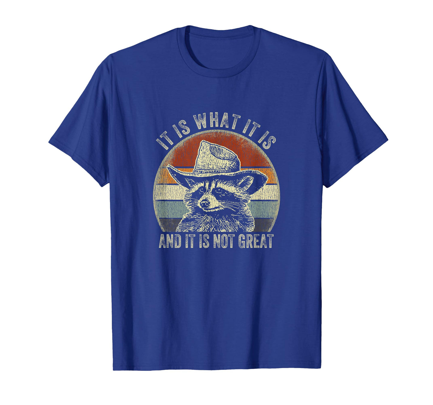 It Is What It Is And It Is Not Great Raccoon Trash Panda T-Shirt