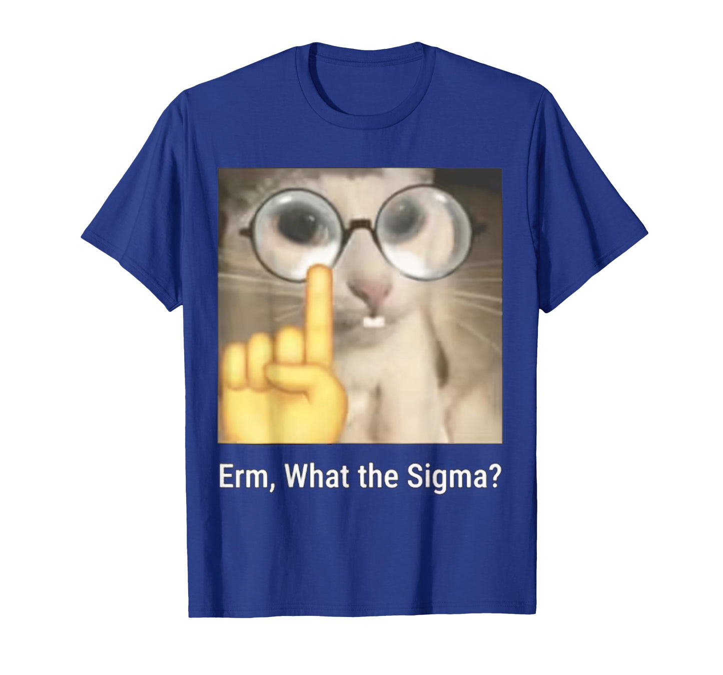 Erm, What the Sigma? Cat Meme Funny T-Shirt