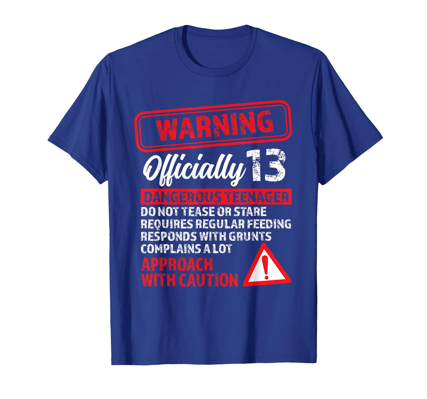 13th Birthday Gifts Warning Dangerous Teenager 13 Yr Old T-Shirt