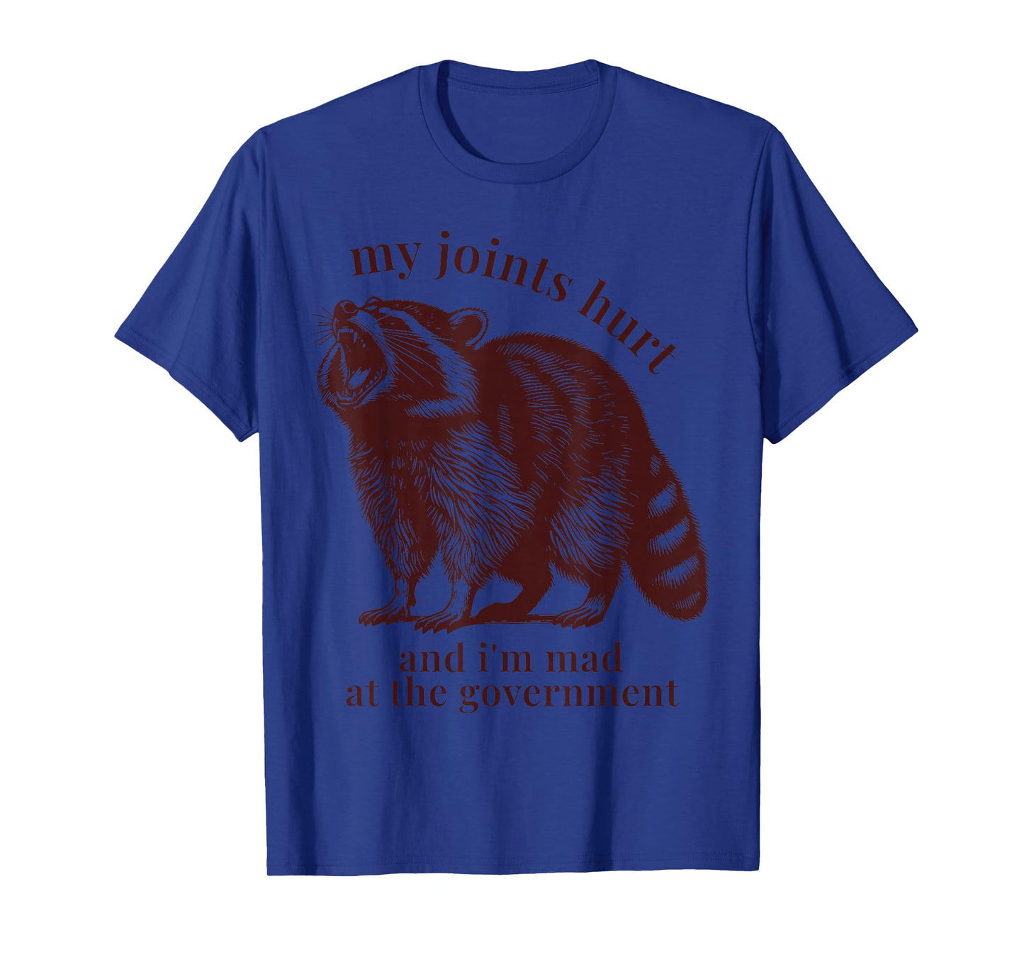 Raccoon My Joints Hurt Funny Ehlers Danlos Syndrome Lupus T-Shirt