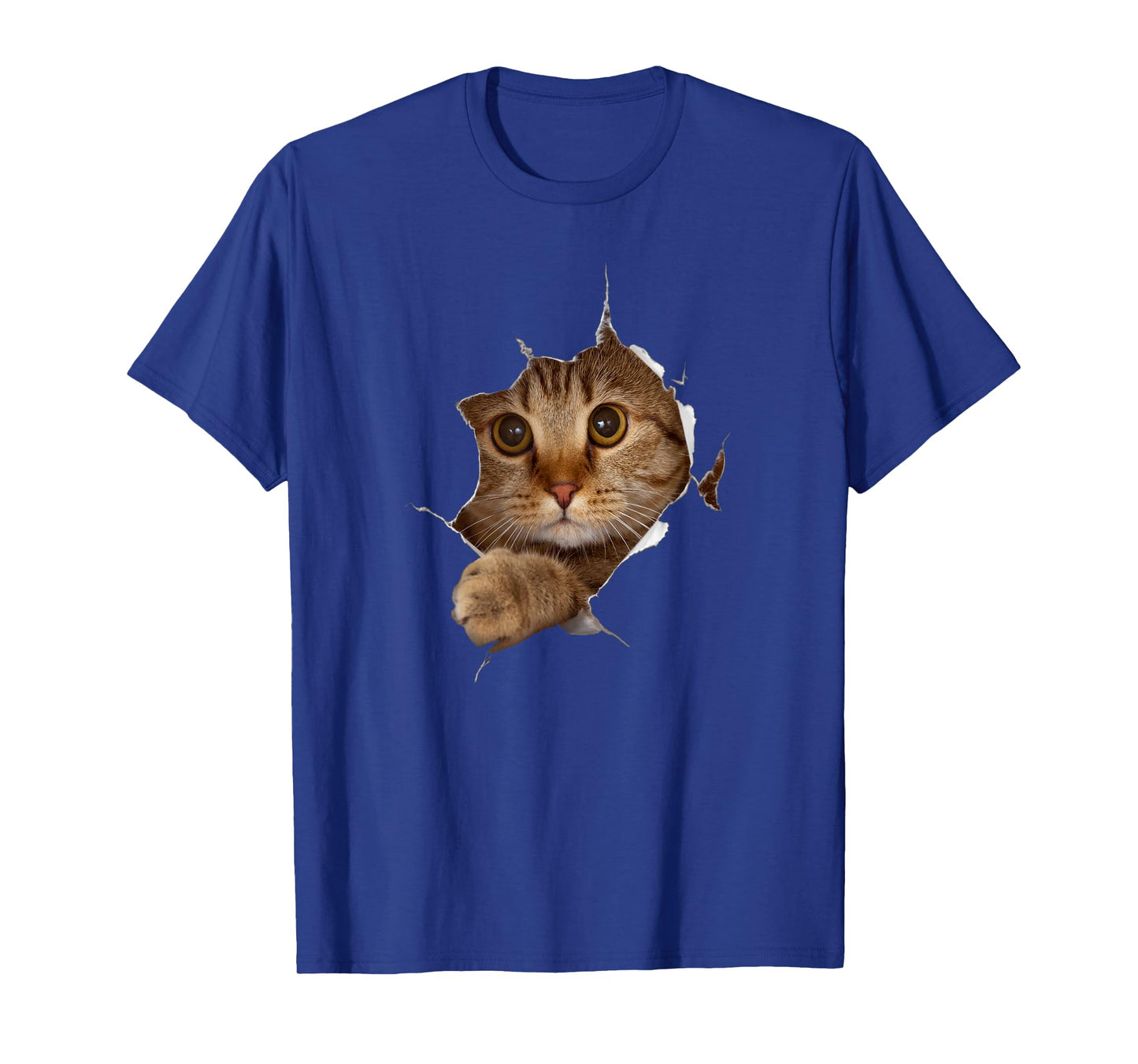 Sweet Kitten Torn Cloth - Funny Cat Lover Cat Owner Cat Lady T-Shirt