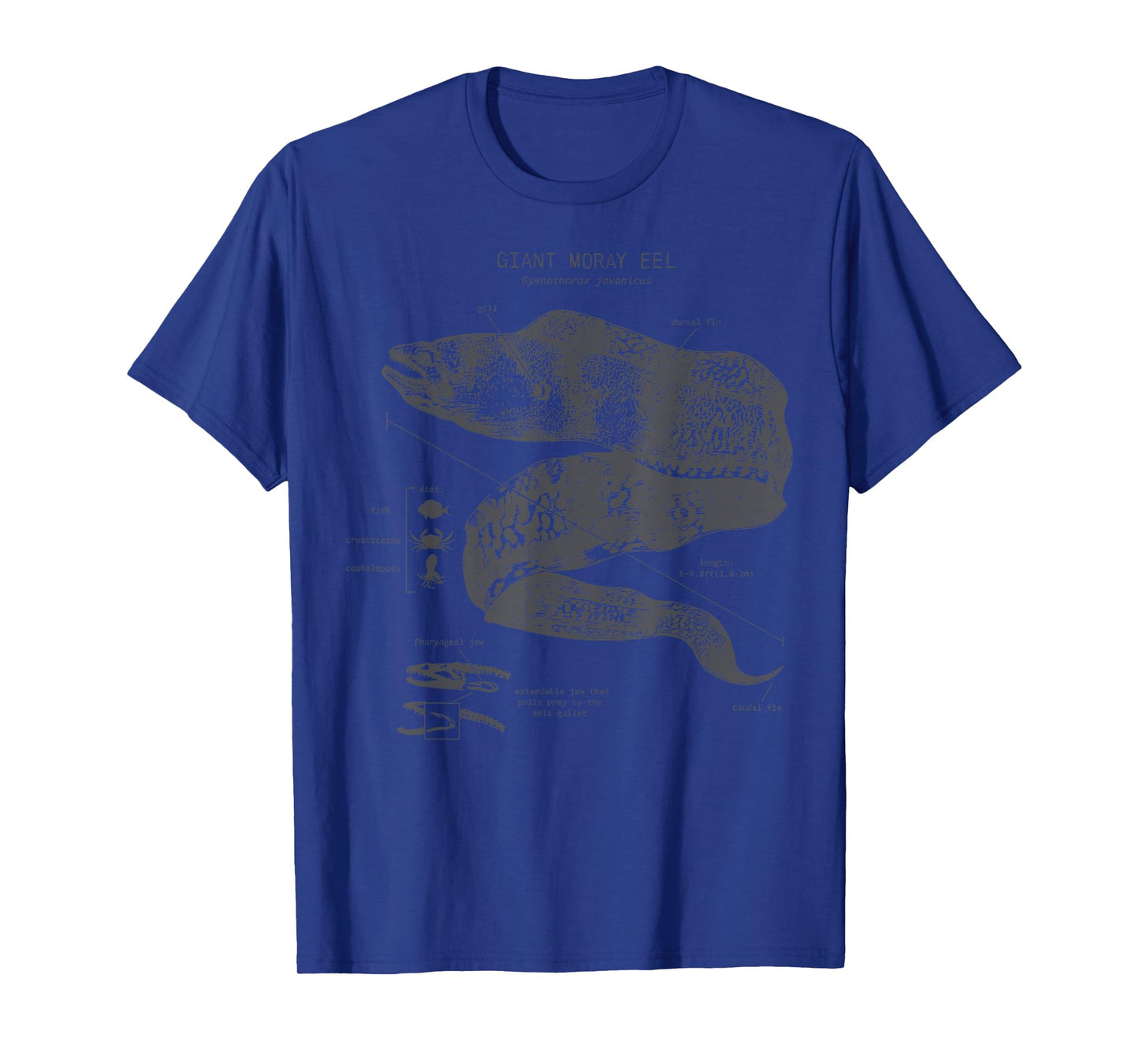 Vintage Moray Eel Anatomy Ocean Animal Marine Biologist T-Shirt