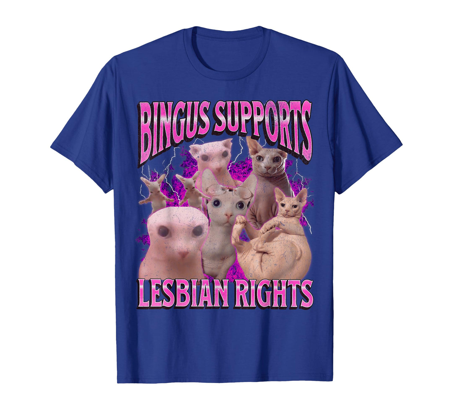 Bingus Supports Lesbian Rights Funny Cat Meme Bootleg T-Shirt
