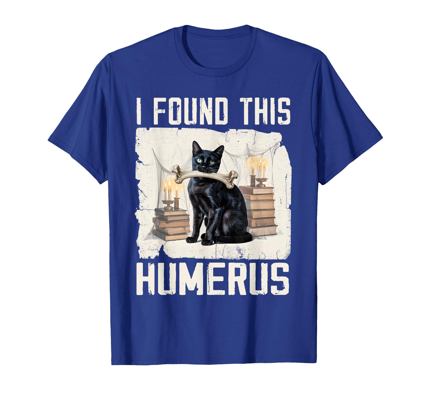 I Found This Humerus Vintage Funny Scary Black Cat Halloween T-Shirt